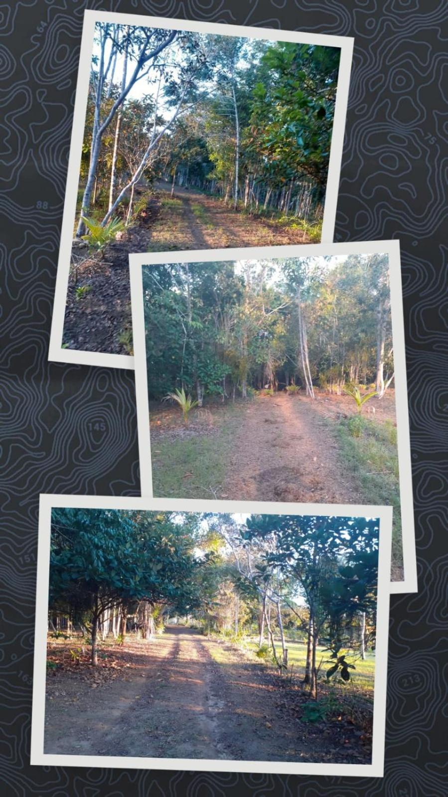 Chalé Mata & Mar Serra Grande
