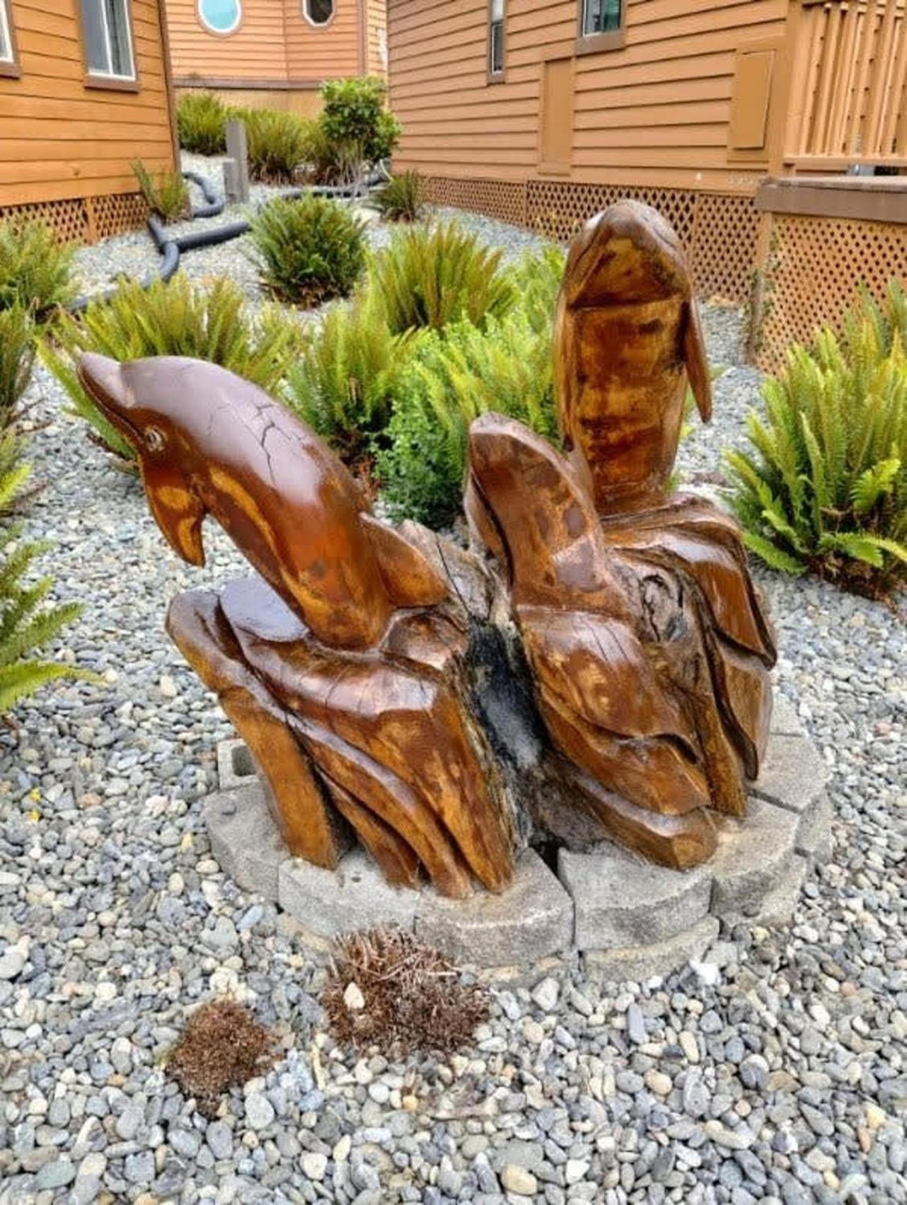 Photo 47