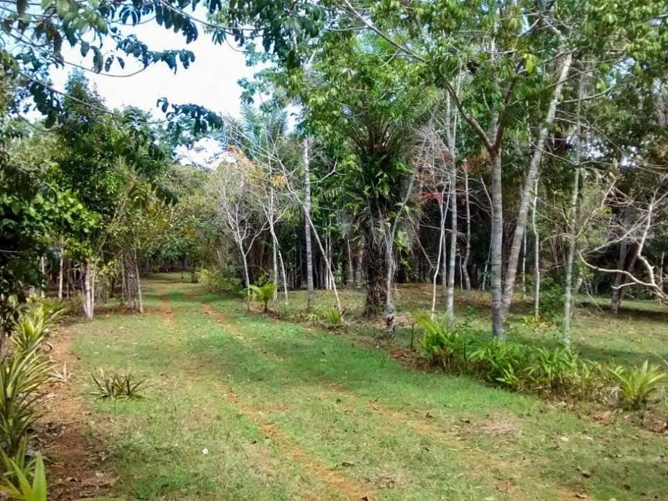 Chalé Mata & Mar Serra Grande