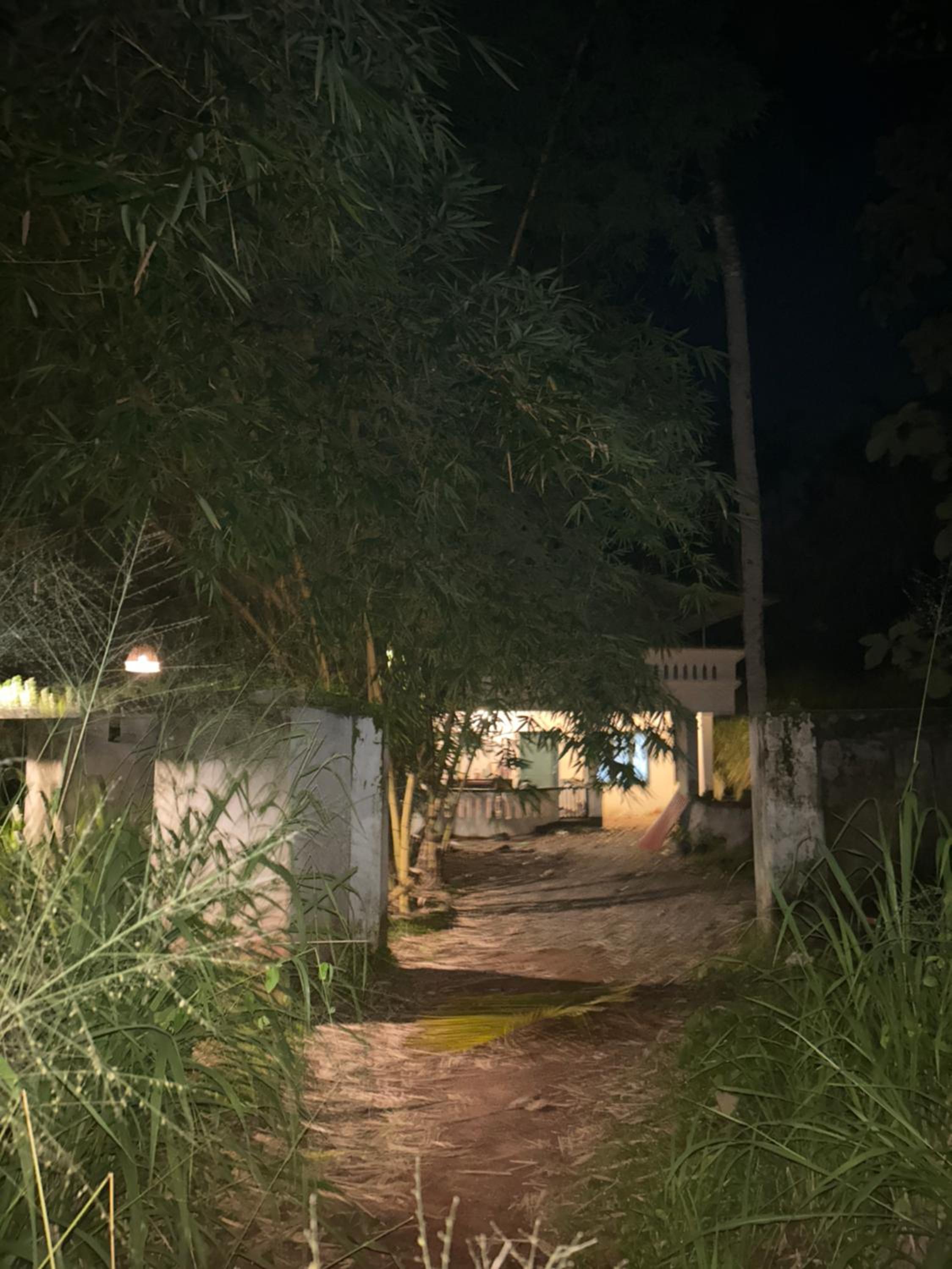 MangoHome