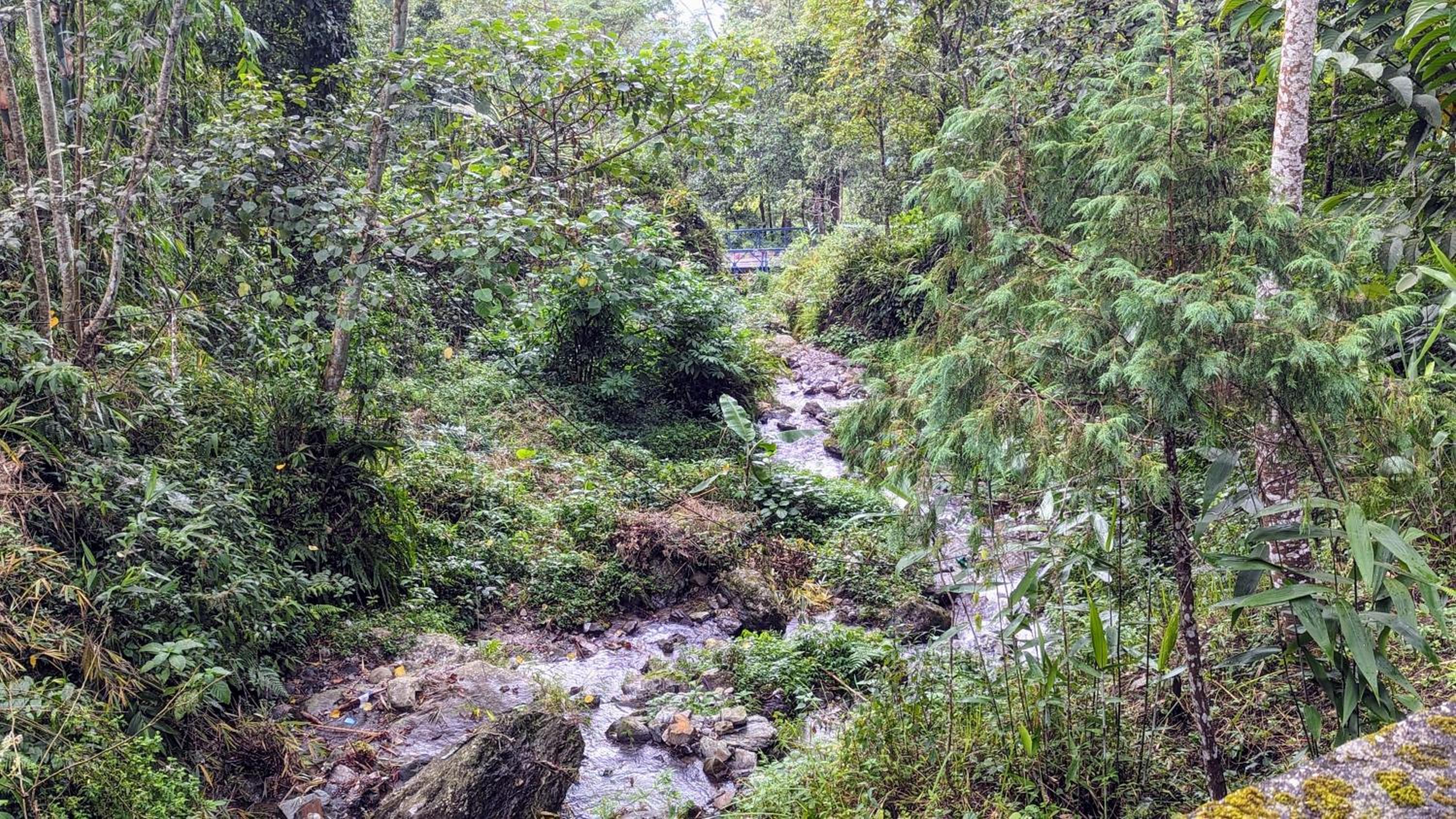 Munsong Norling Homestay - A unit of Dhitang- Offbeat Kalimpong view 2
