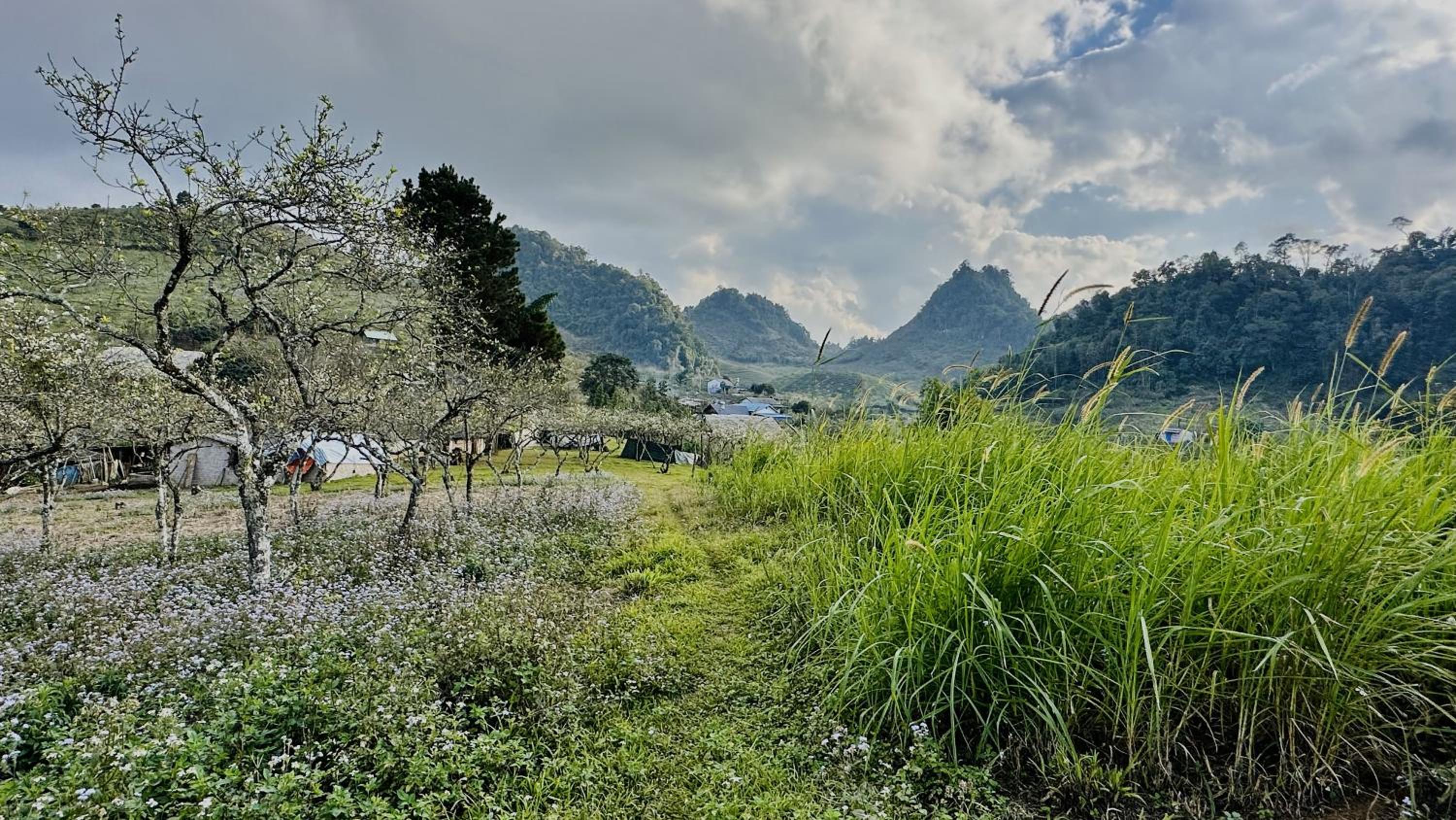 Ho May Garden Retreat - Moc Chau view 4