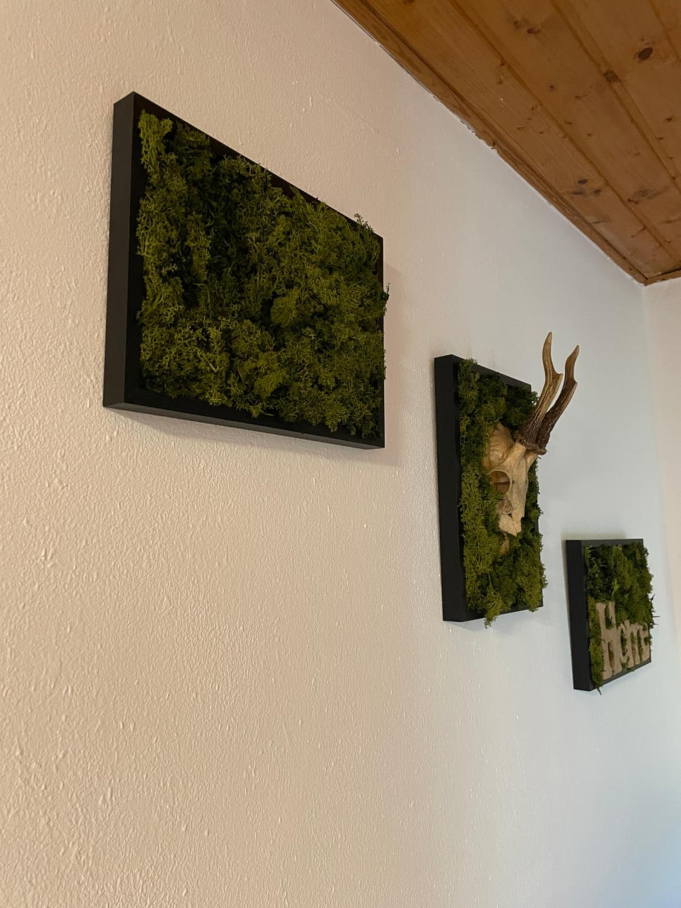Ferienwohnung MaLi
