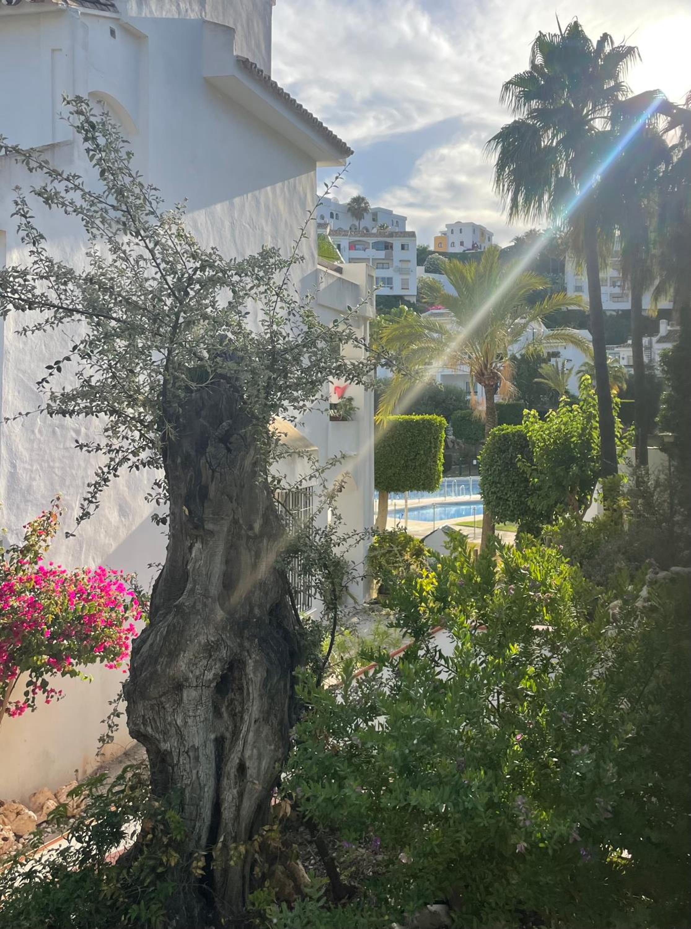 Two bedroom, two bathroom, balcony, pool area, view