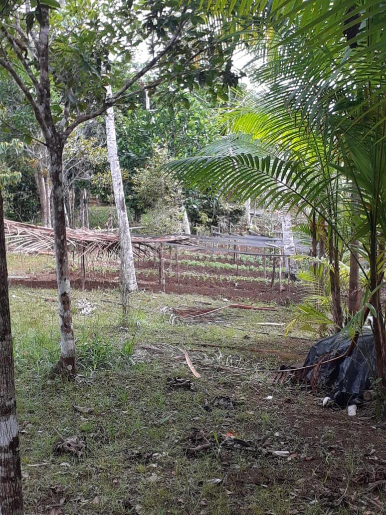 Chalé Mata & Mar Serra Grande