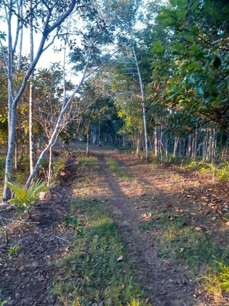 Chalé Mata & Mar Serra Grande