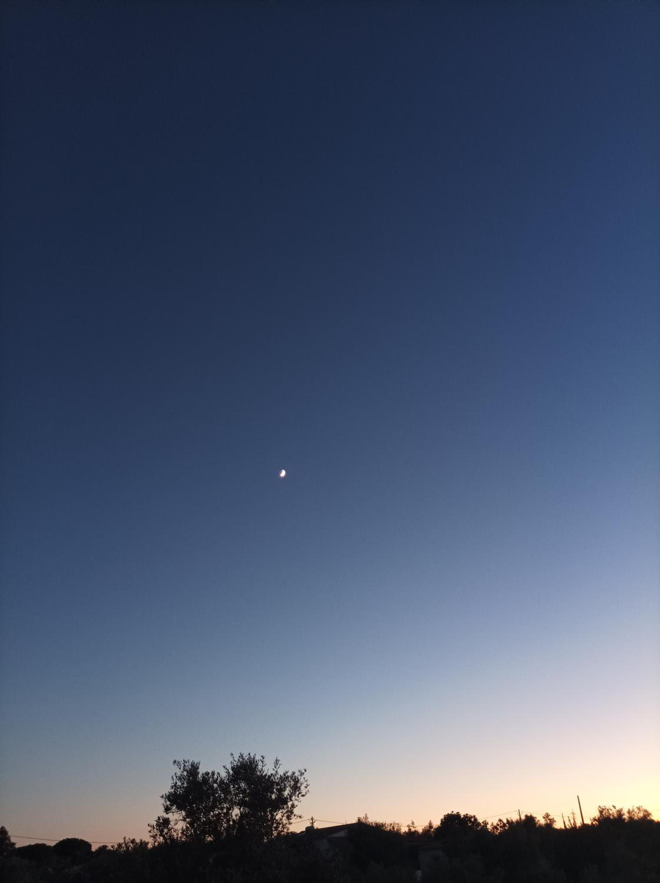 Photo 126