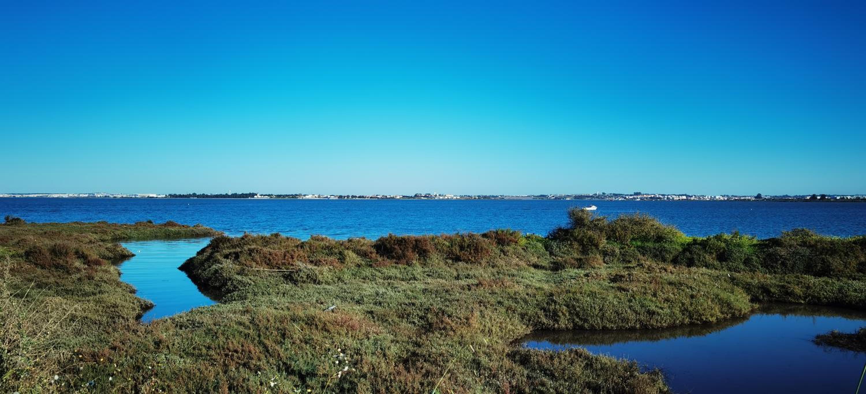 The whole villa, near a large park and a quiet beach, photo 34