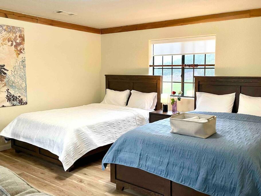 Panorama Paradiso by CasadeLuz, 5Acre 360 Retreat close to Old Town Temecula Wine Country view 5