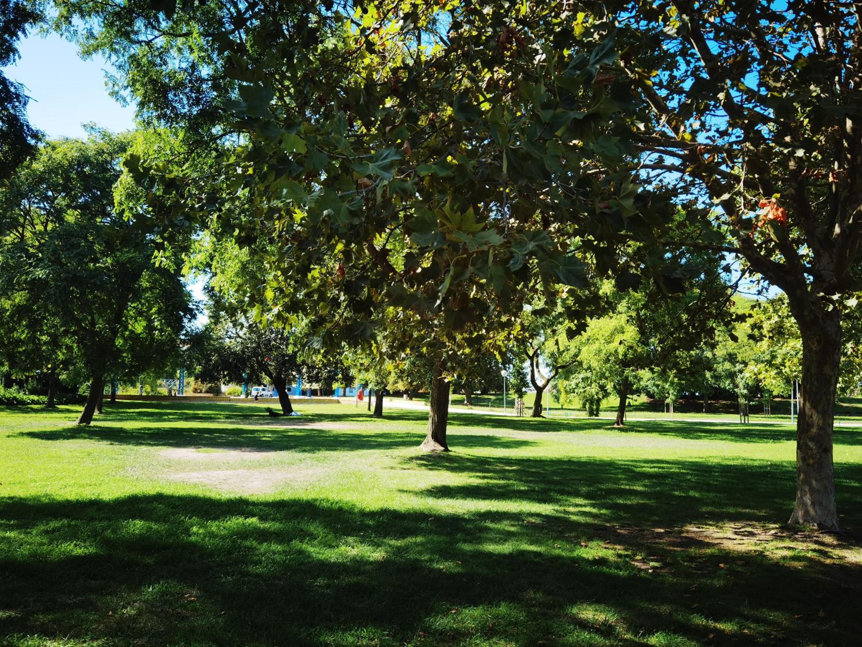 The whole villa, near a large park and a quiet beach, photo 71