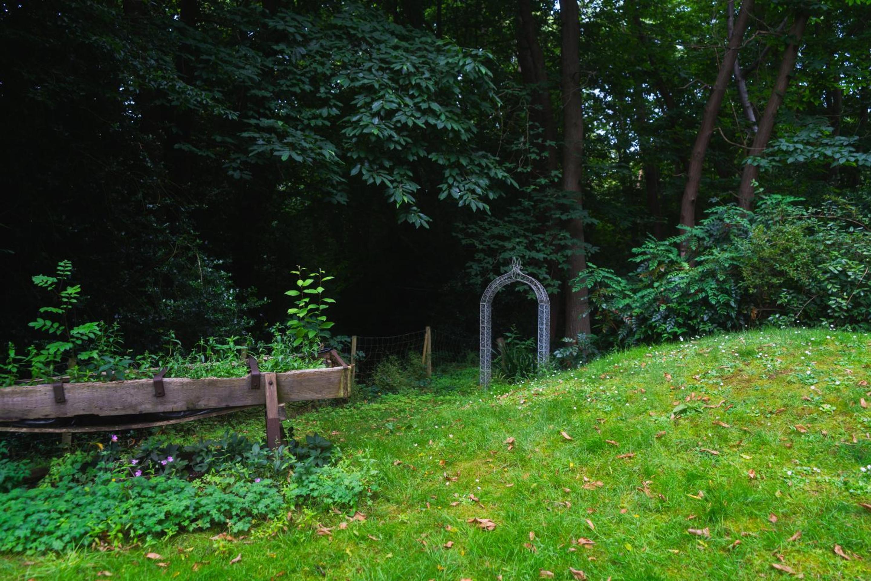 Photo 46