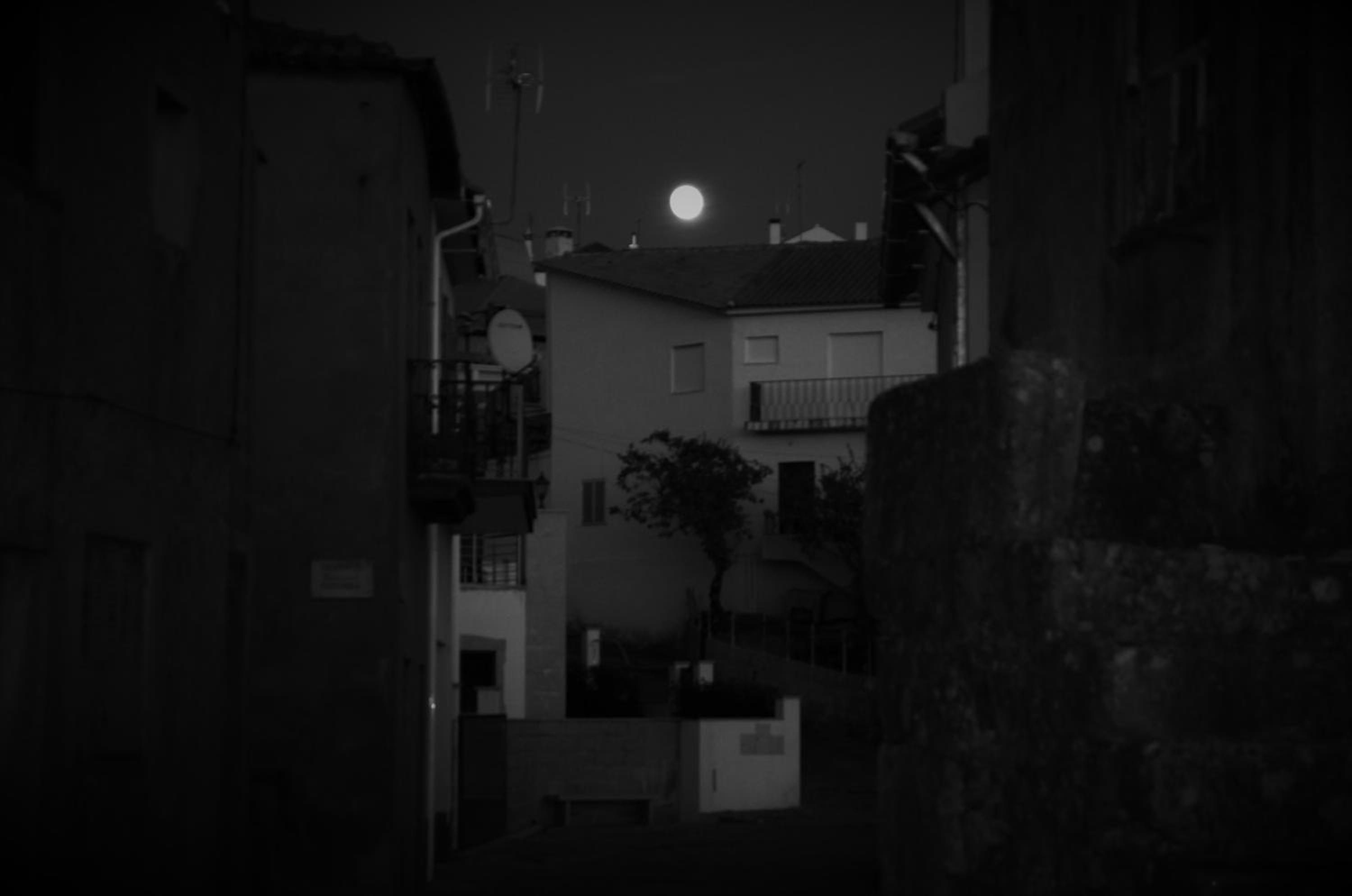 Photo 37