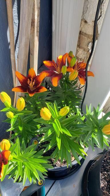 Photo 47