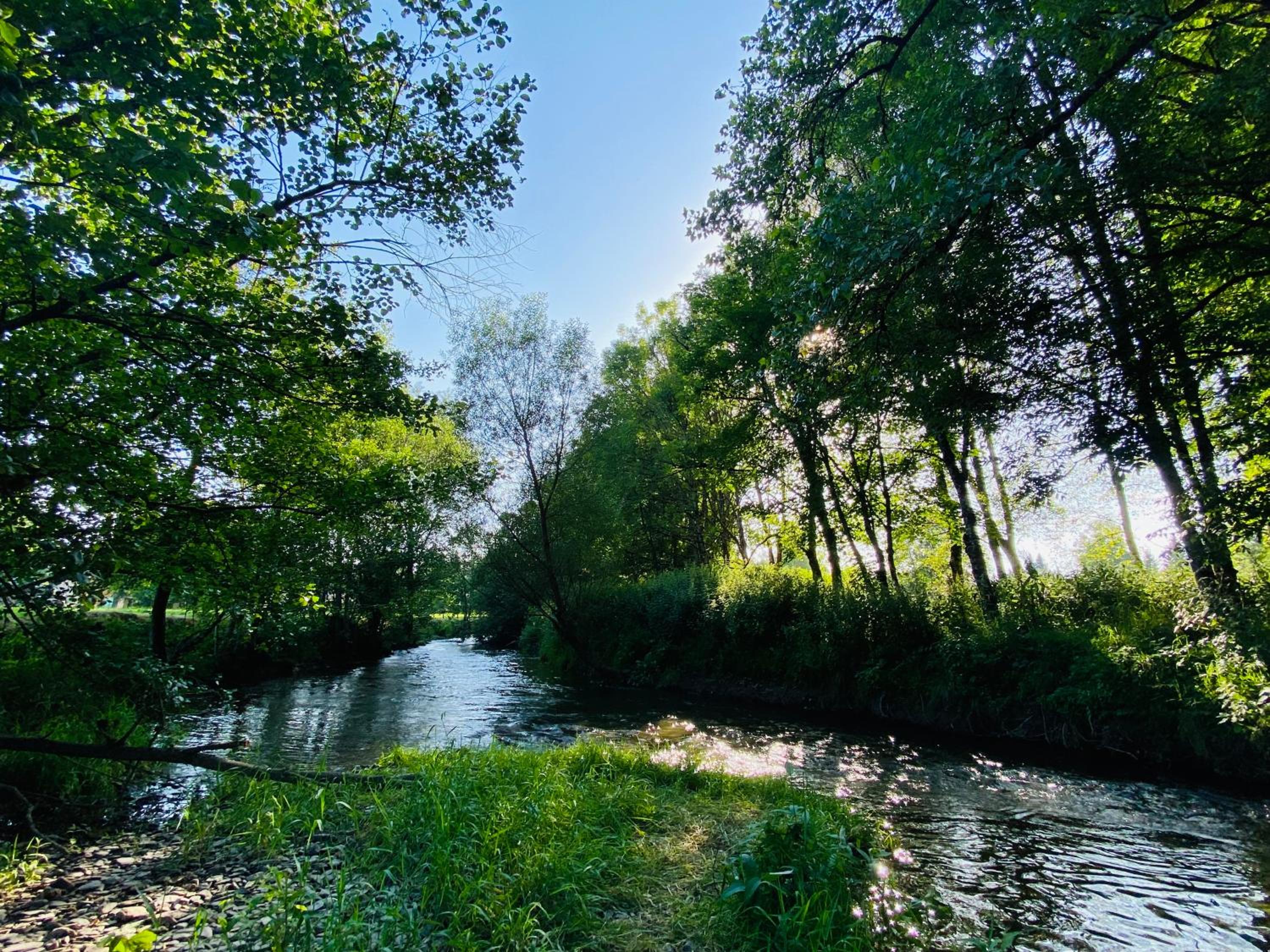 Le Héron - Gîte de charme clôturé, accès à la rivière - 6 ou 10 personnes