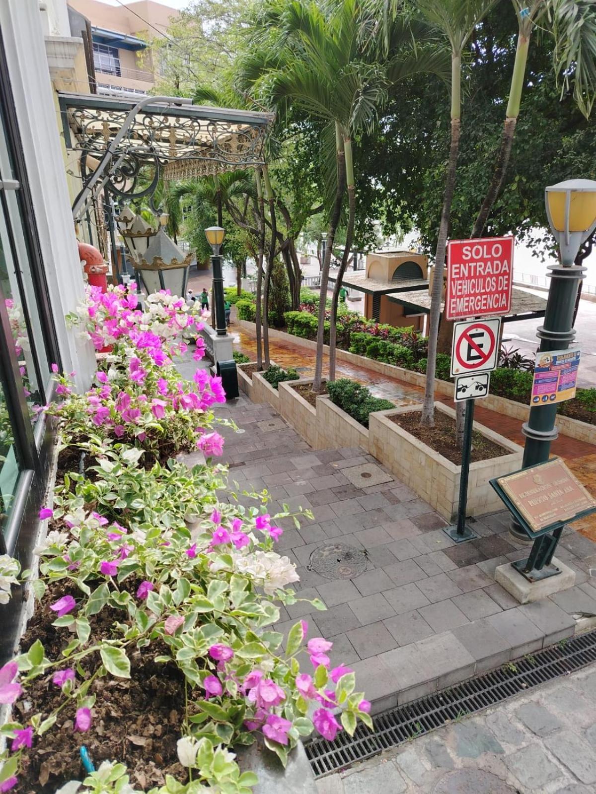 Luxury Apartments in Las Peñas - Guayaquil, LA ROSA DEL RIO Building, Balconies with Panoramic Views, Relaxation and Within the Tourist Zone view 5