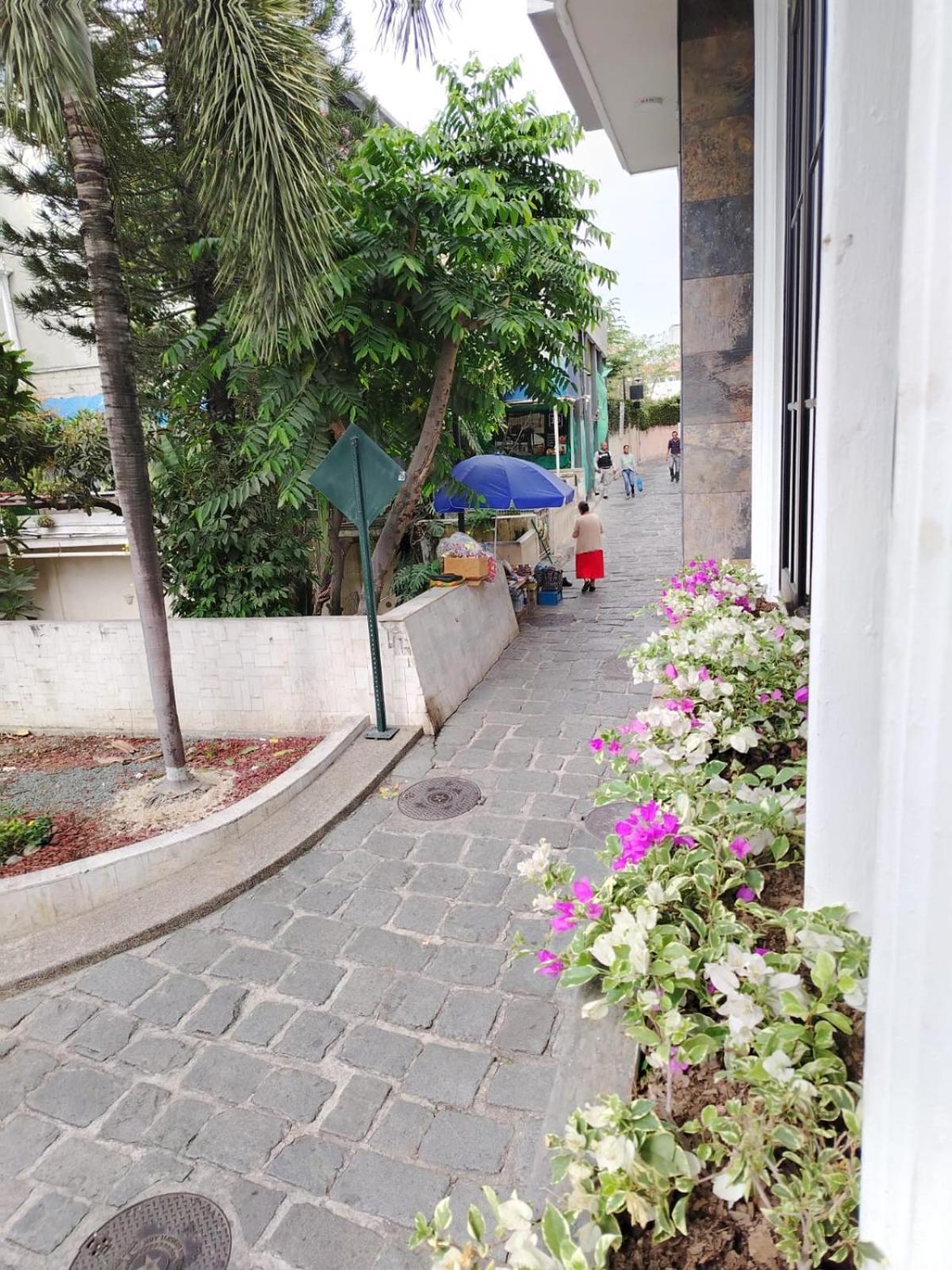 Luxury Apartments in Las Peñas - Guayaquil, LA ROSA DEL RIO Building, Balconies with Panoramic Views, Relaxation and Within the Tourist Zone view 4