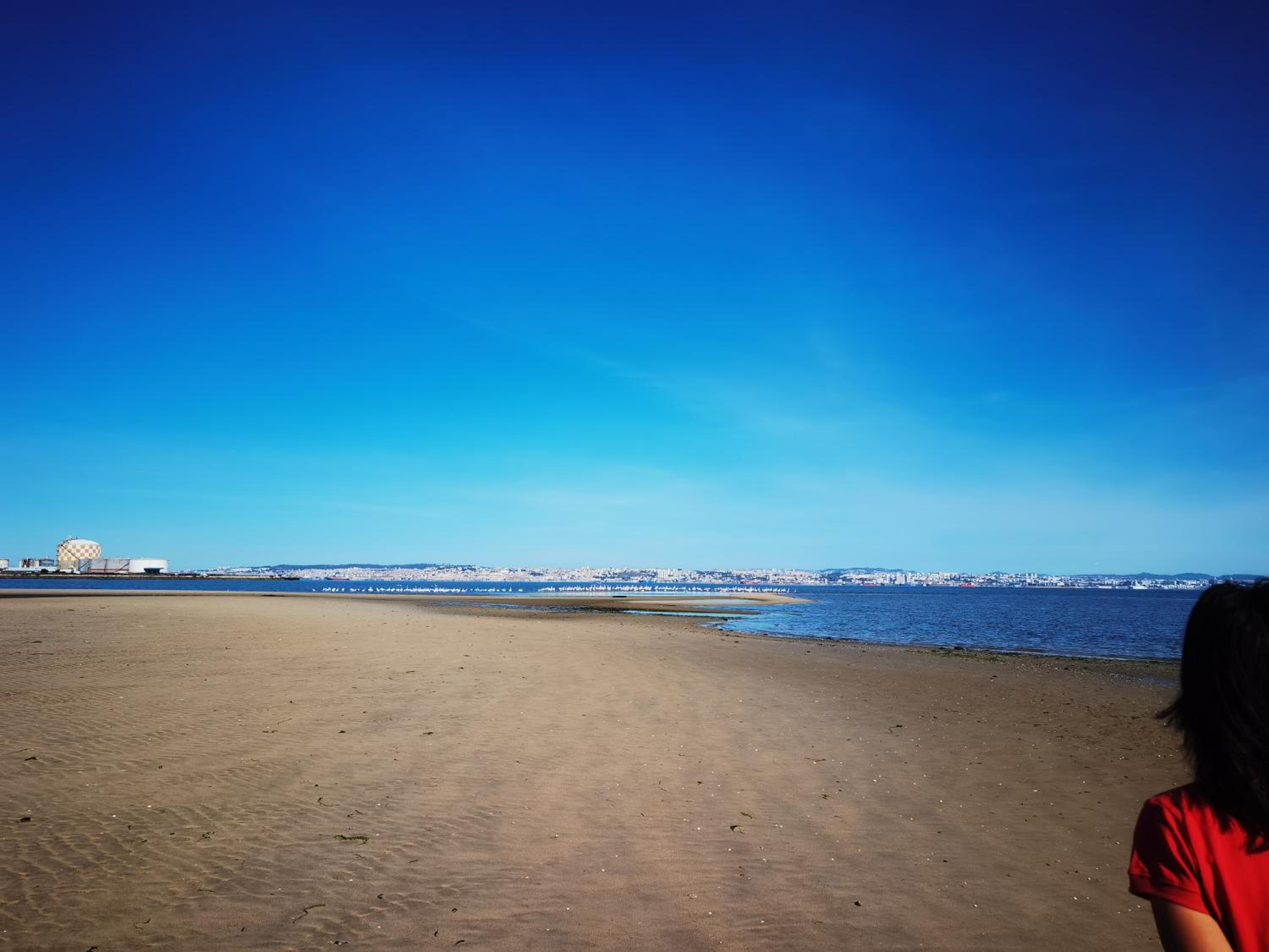 The whole villa, near a large park and a quiet beach, photo 41