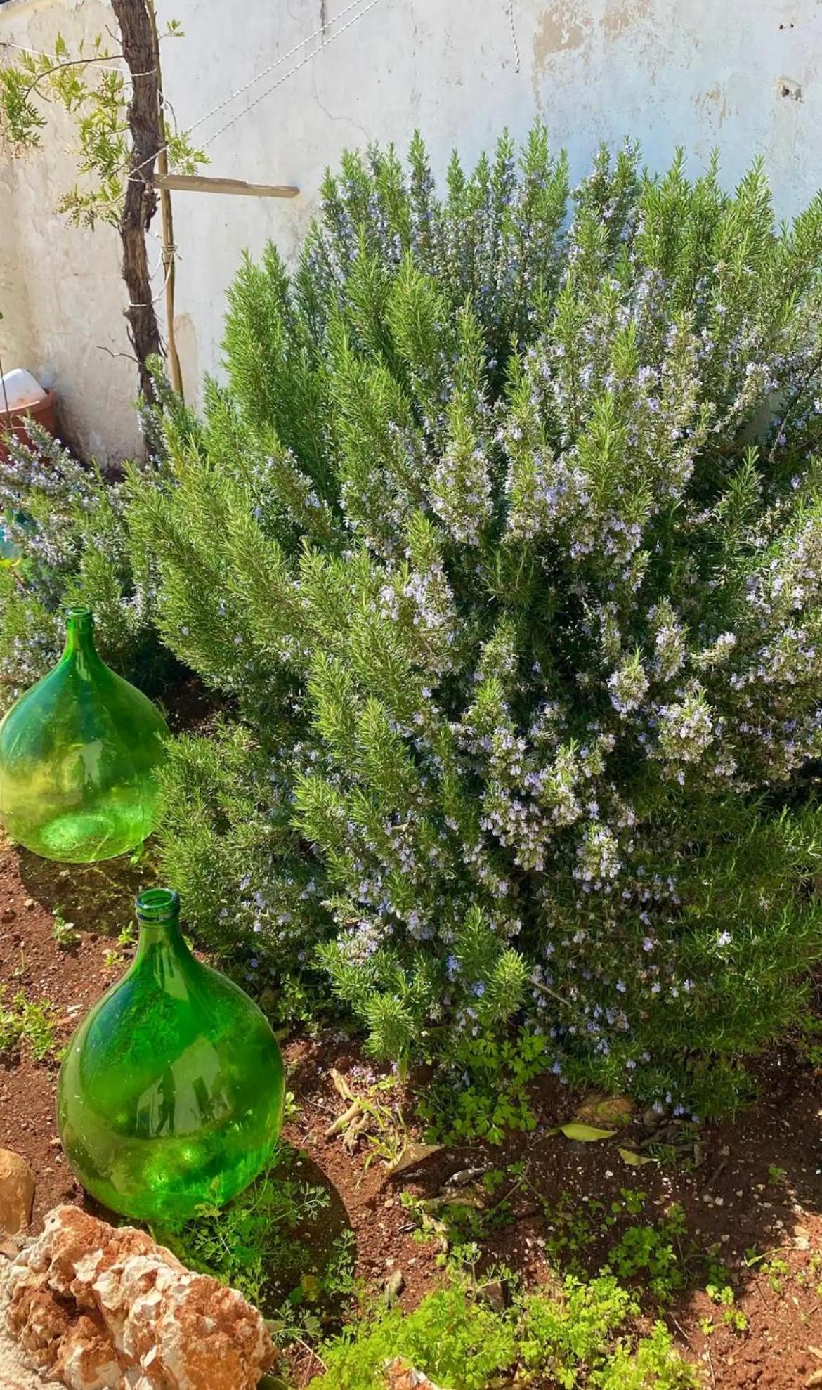 La Casita Ostuni - Authentic Apulian Stay