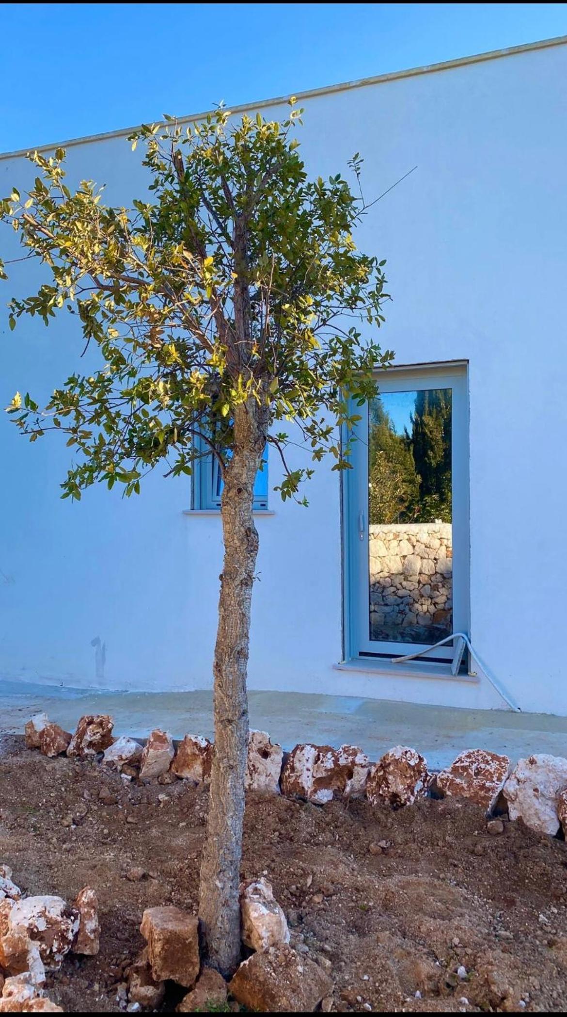 La Casita Ostuni - Authentic Apulian Stay