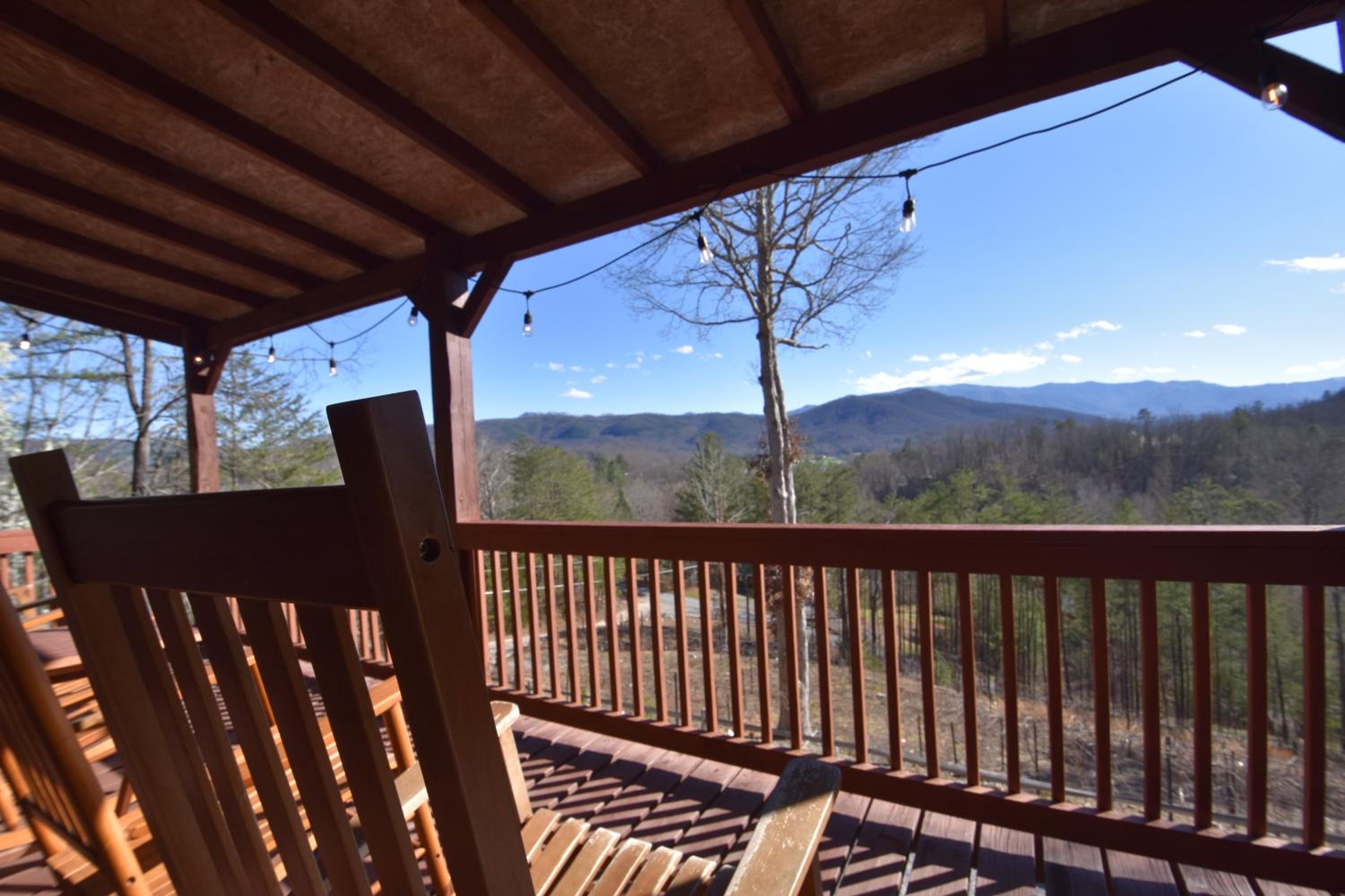 East Tennessee Family Mountain Retreat with Private Vineyard view 2