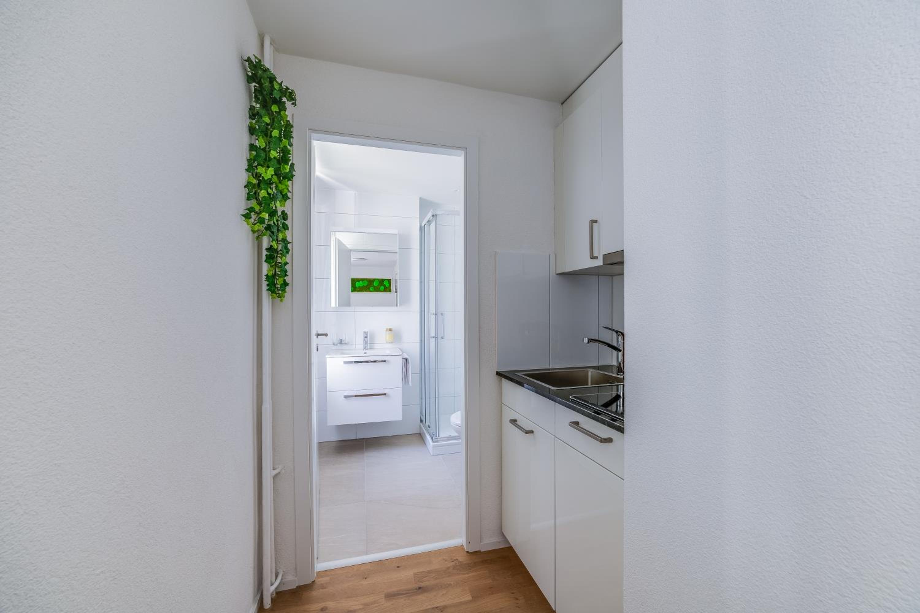 HRE Apartments St Gallen City Center