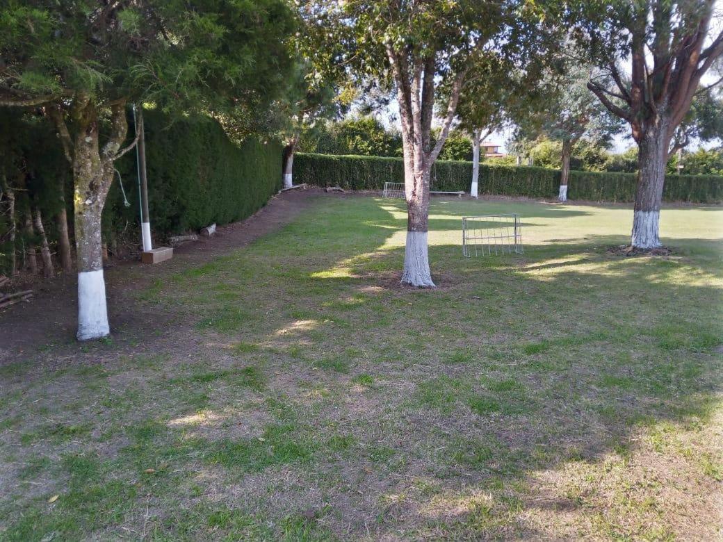 Villa Ligia