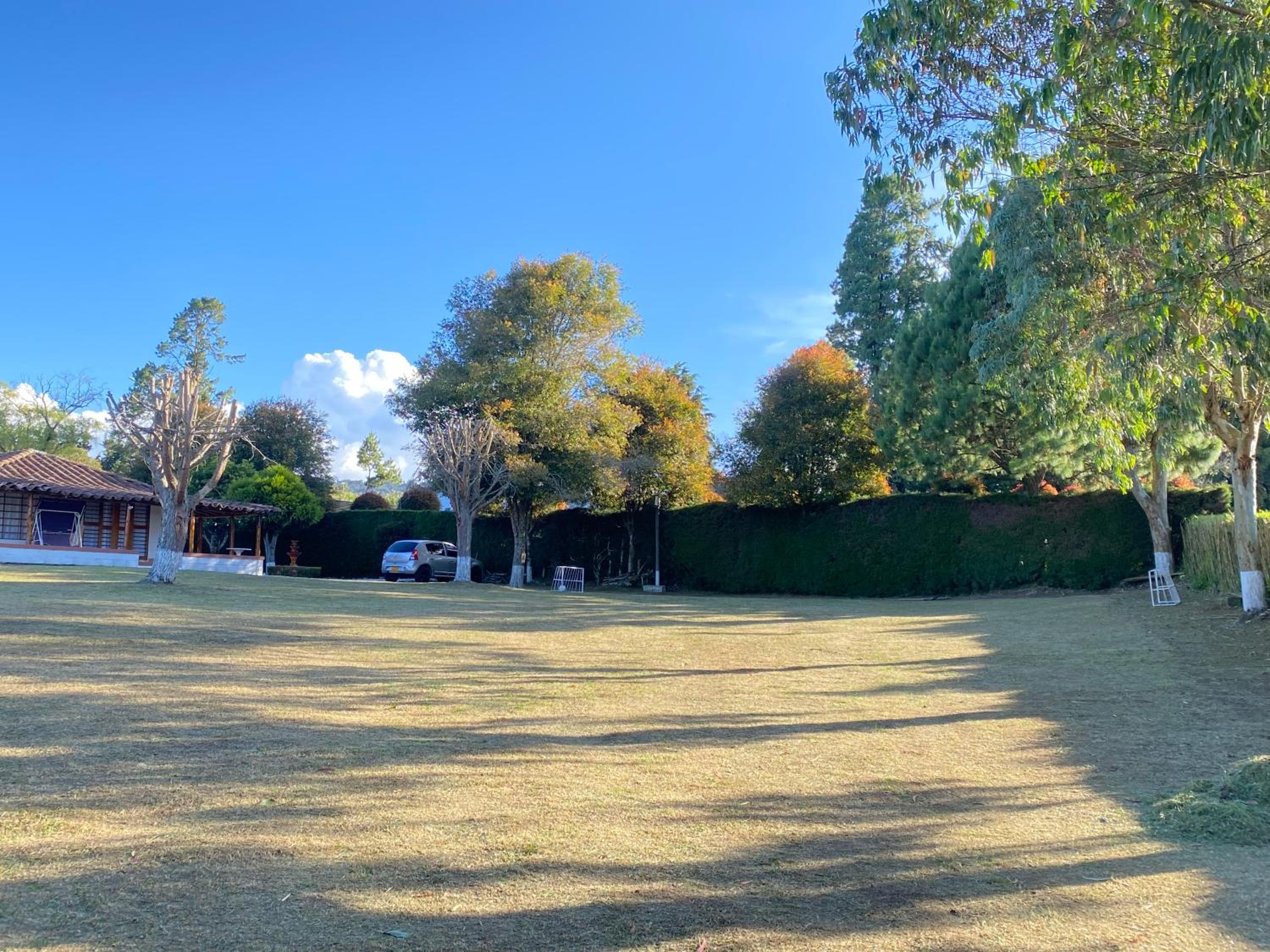 Villa Ligia