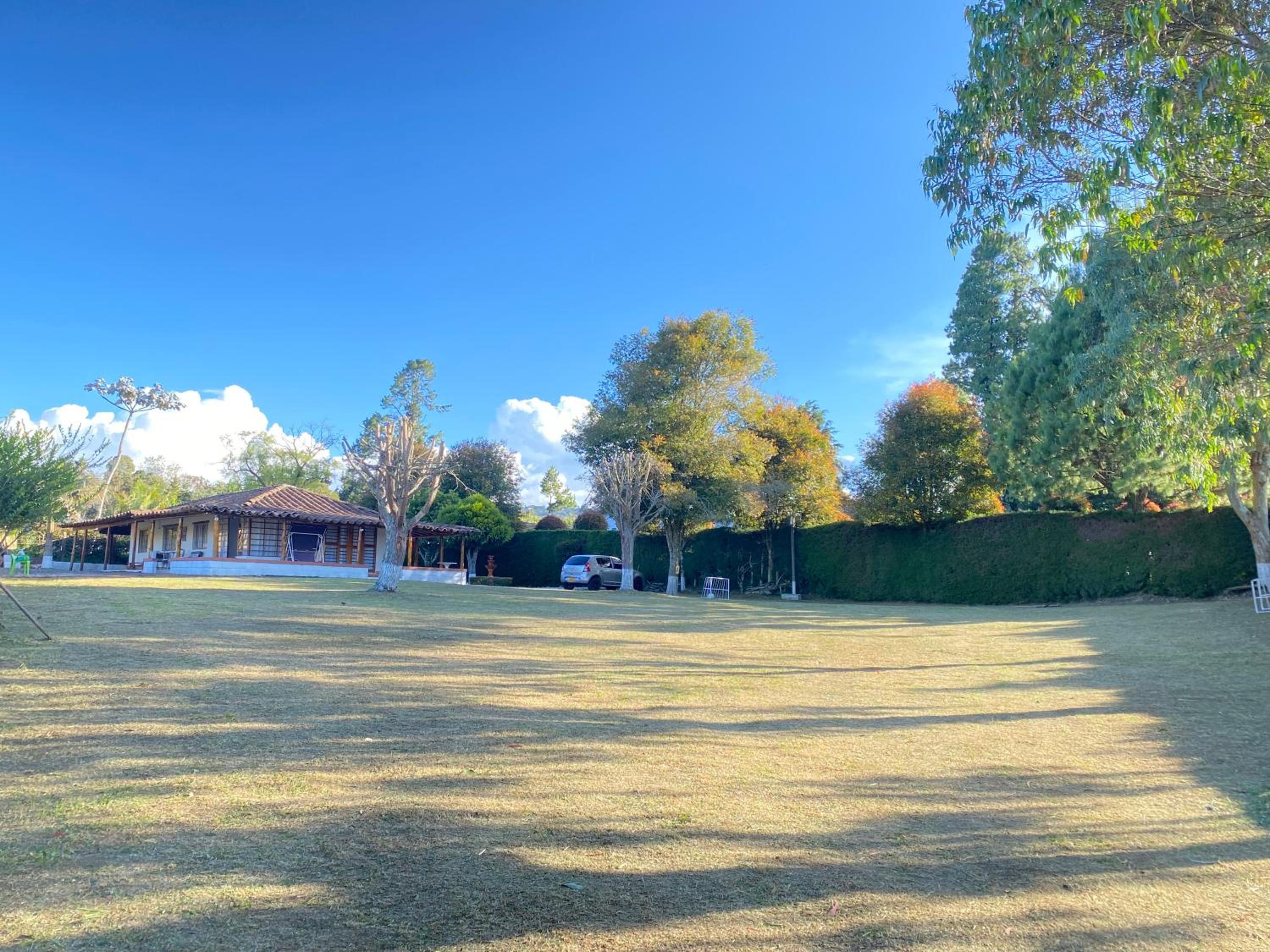 Villa Ligia