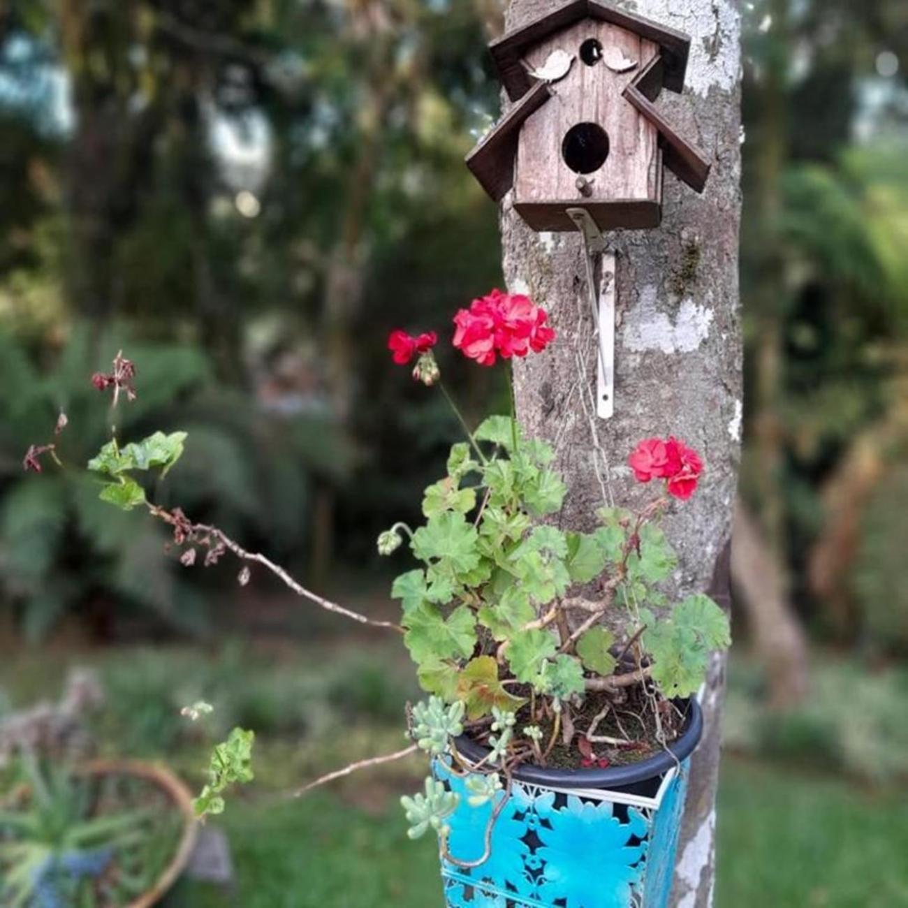 Chalé Temático em Pipa de Vinho - Parada da Pipa Chalés
