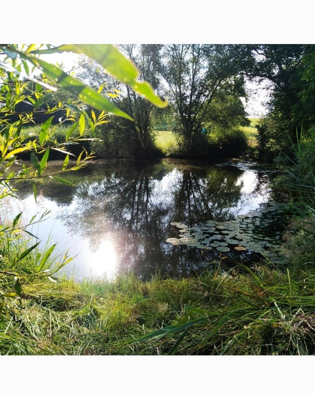Ferienhof Broger