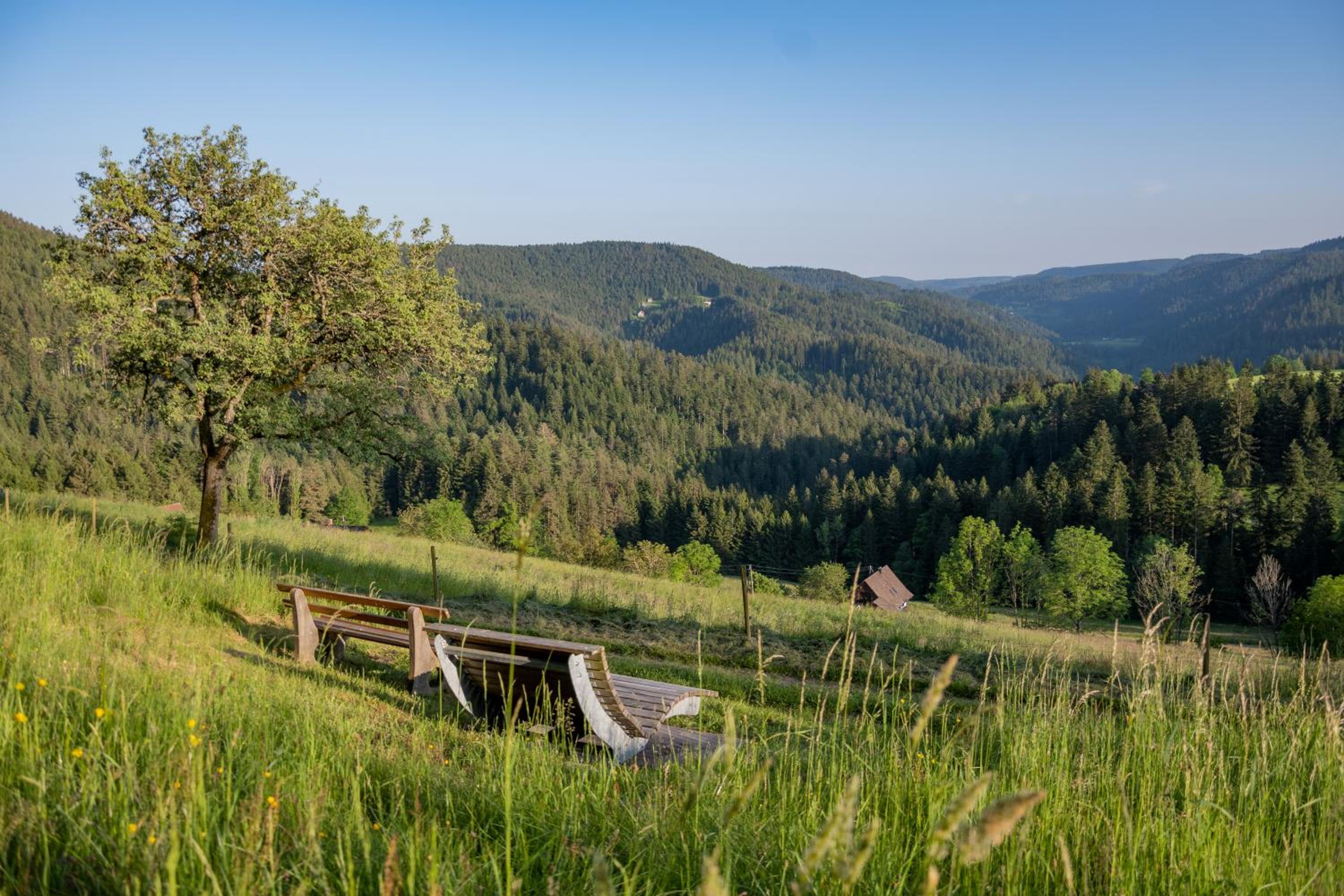 Hansjörgenhof Bioland-Hof view 3