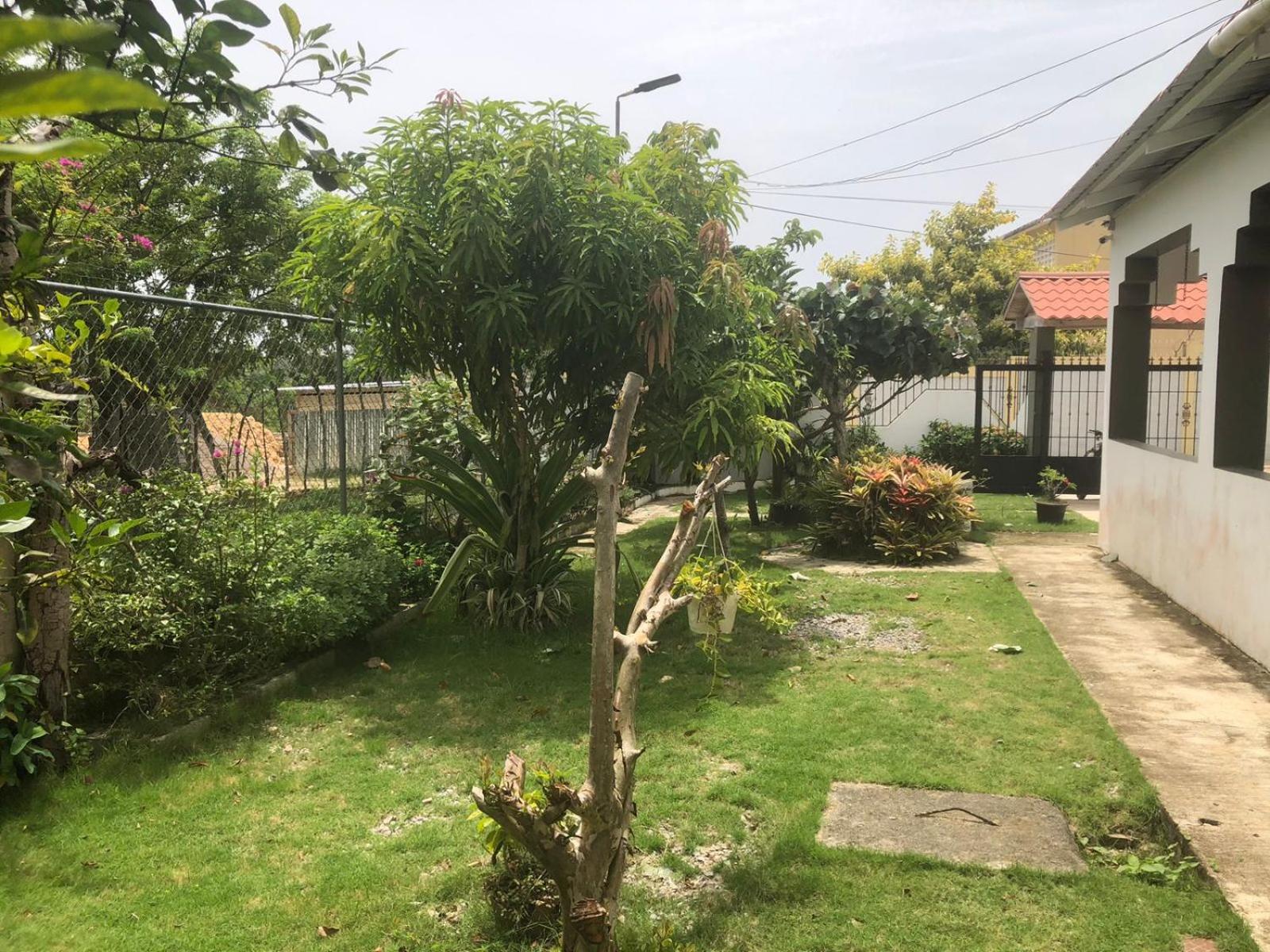 Villa Piña Alojamiento rural