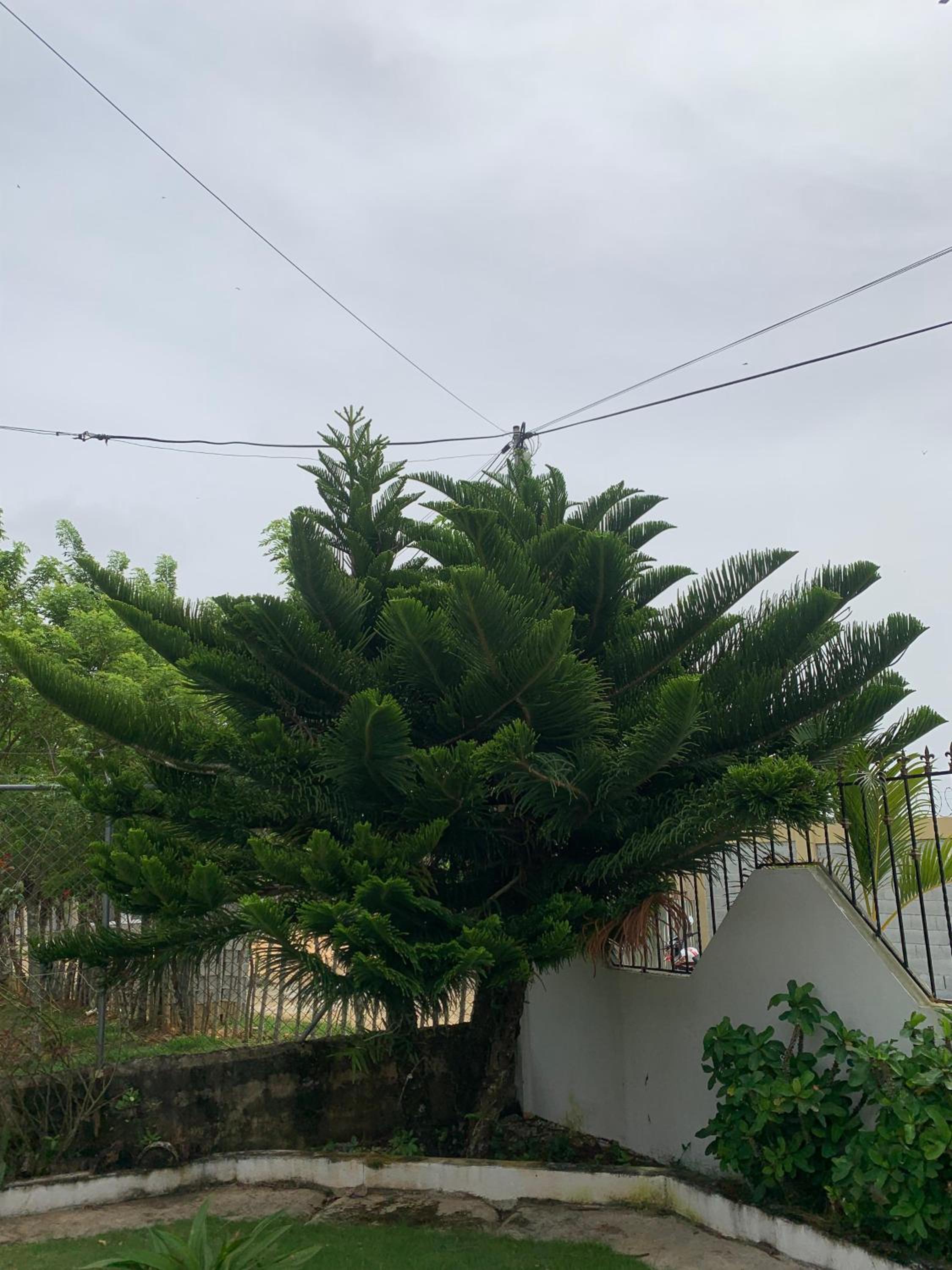 Villa Piña Alojamiento rural