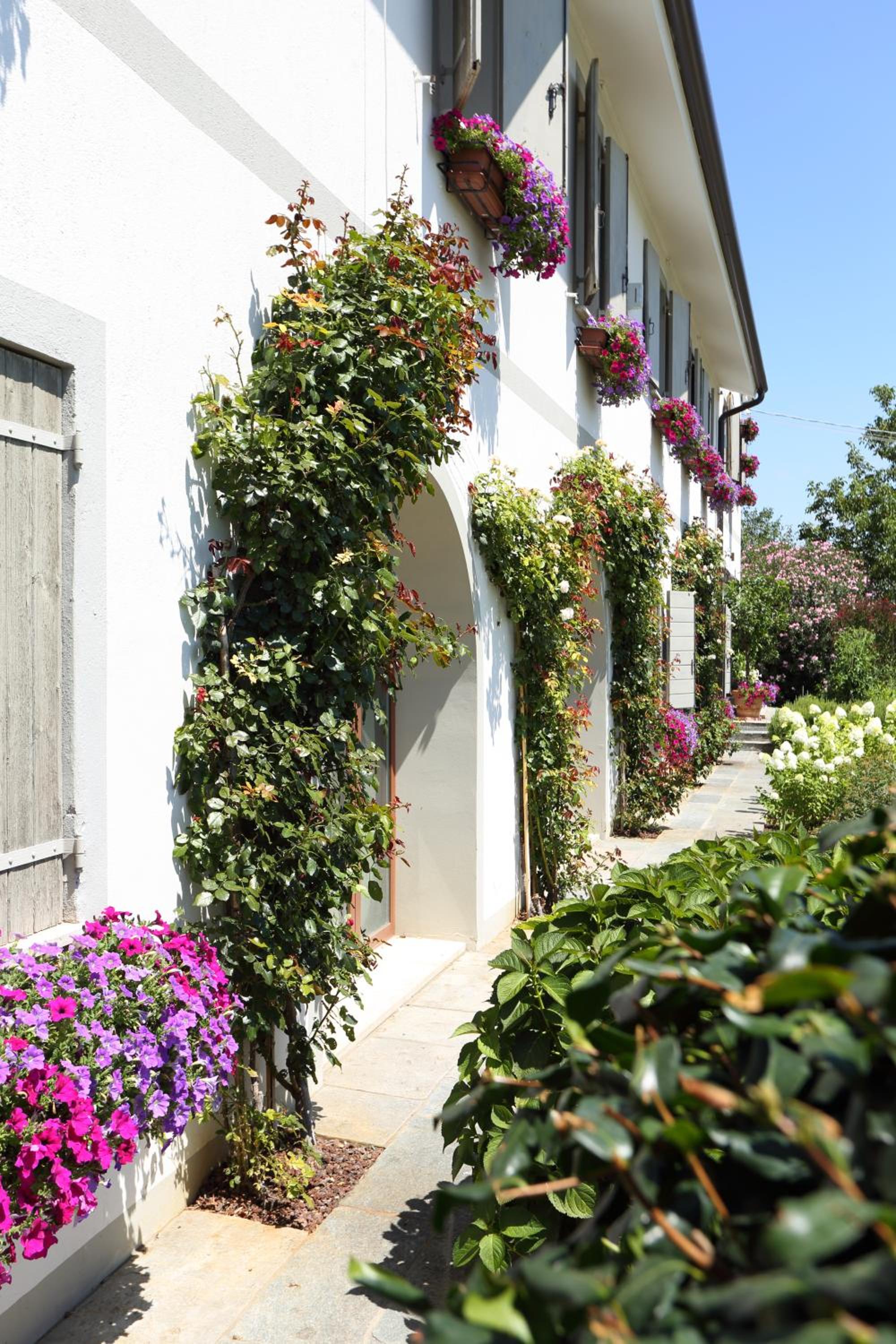 Ca'Vittoria - Prosecco Experience - Unesco photo 5