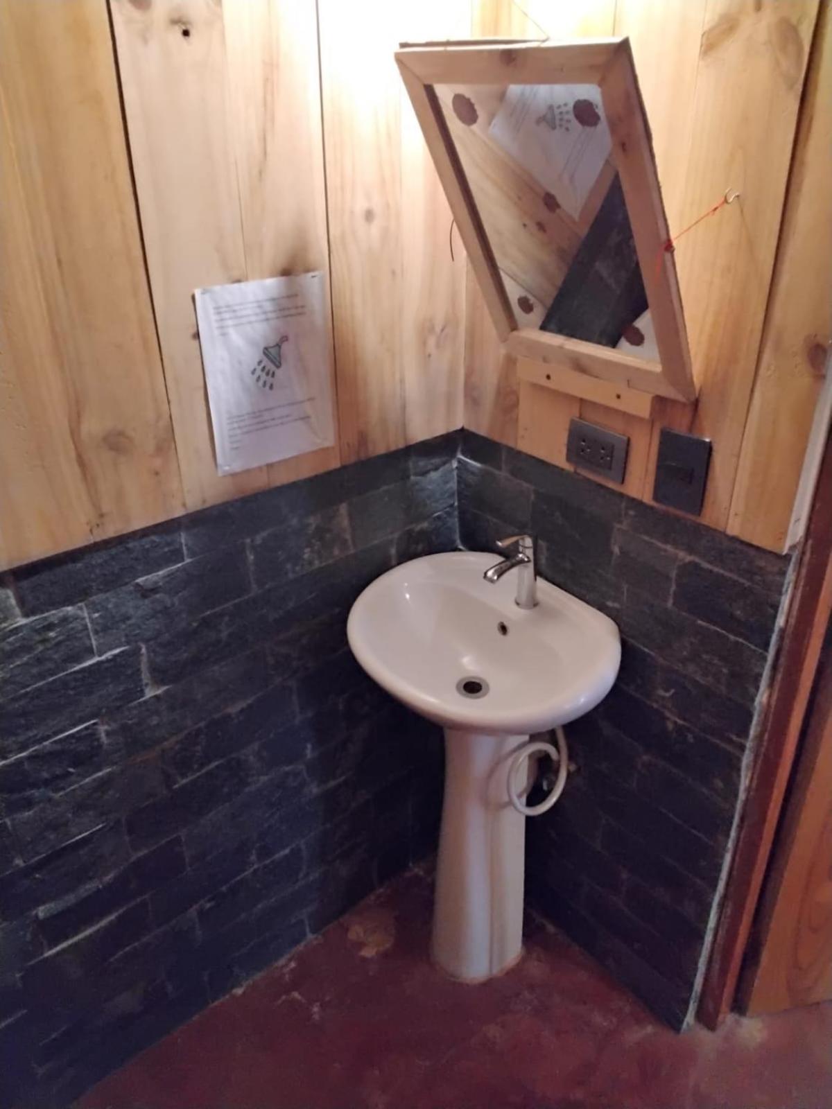 Hostel La Ballena Backpacker