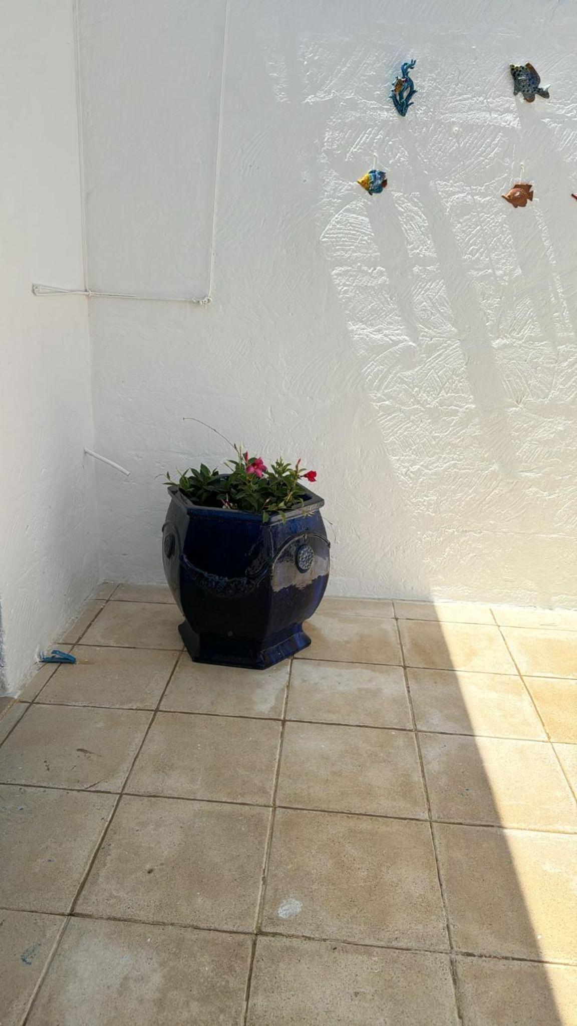 Photo 38