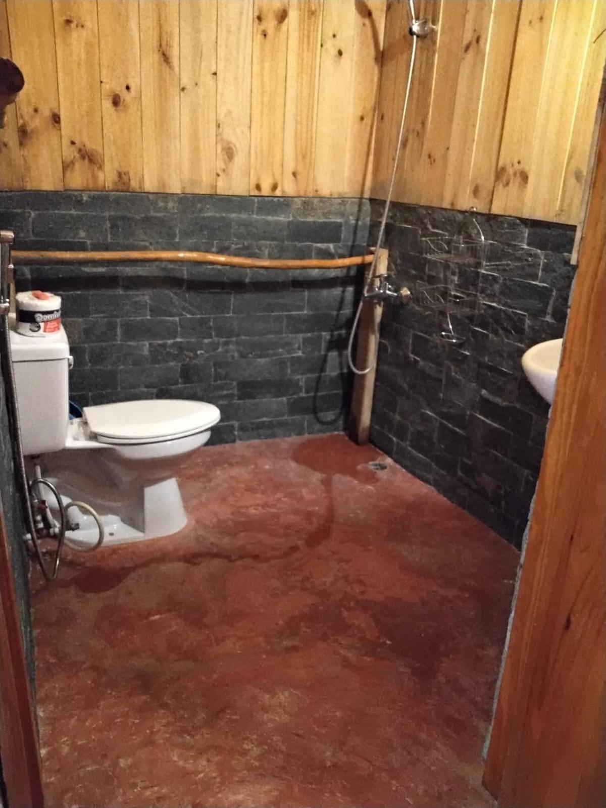 Hostel La Ballena Backpacker