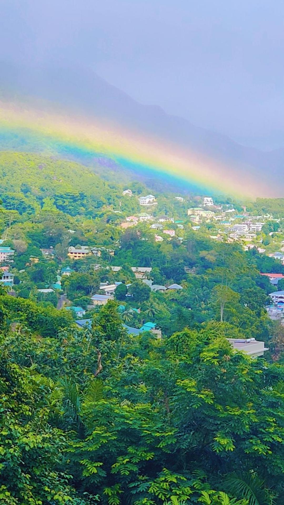 Wild Vanilla Apartment photo 3