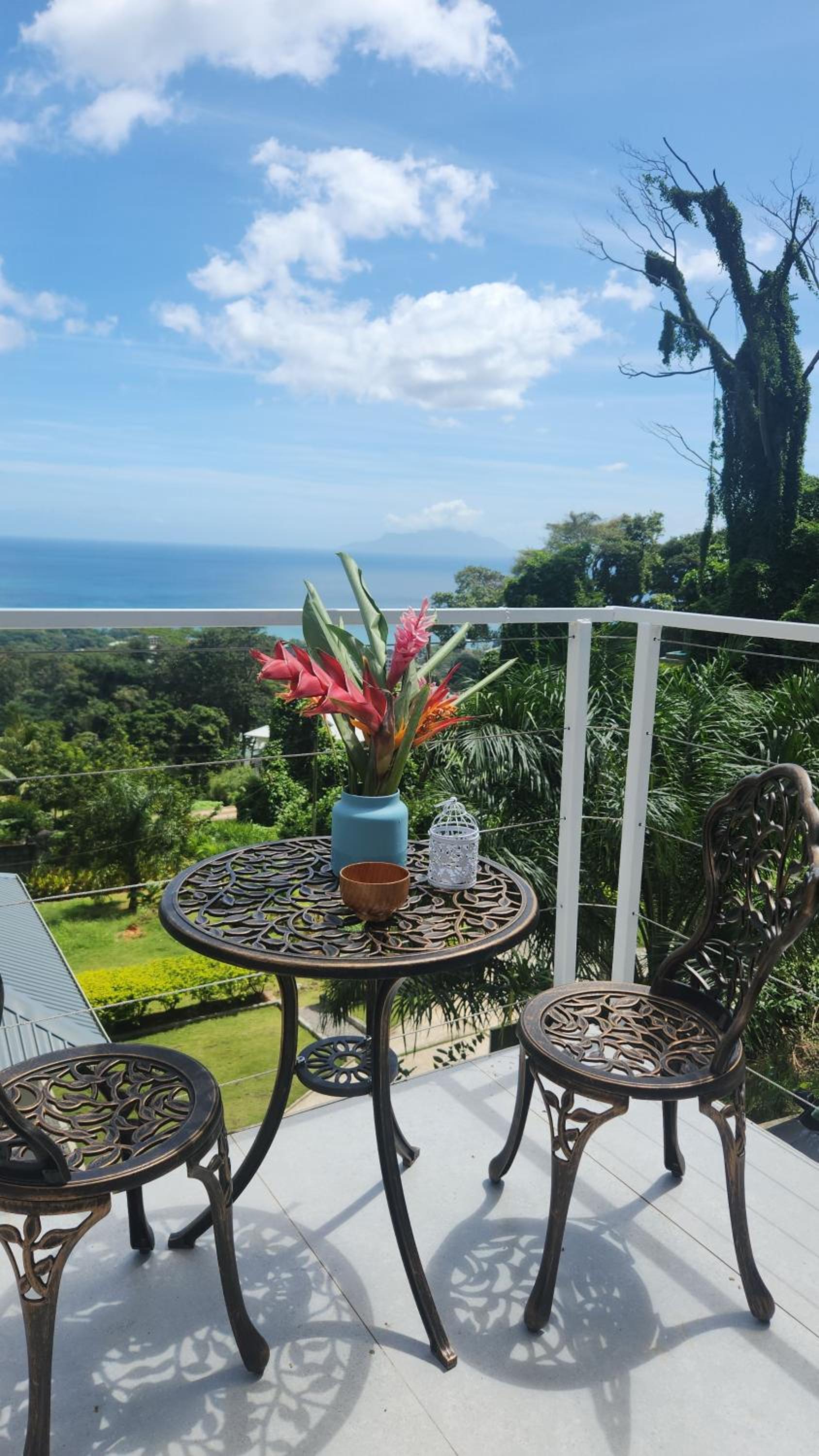 Wild Vanilla Apartment photo 4