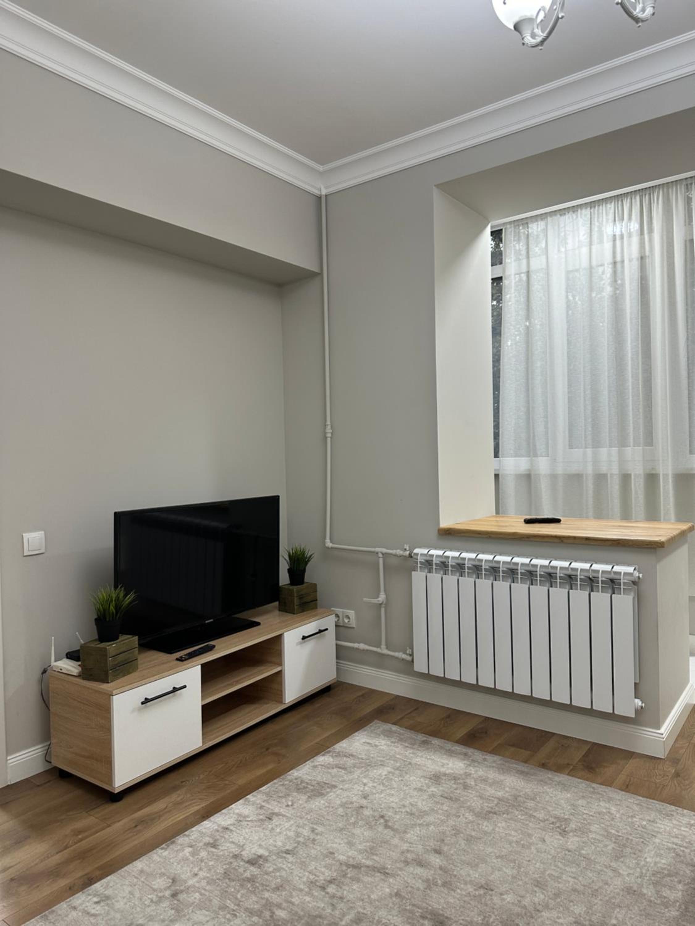 Comfortable apartment in Almaty