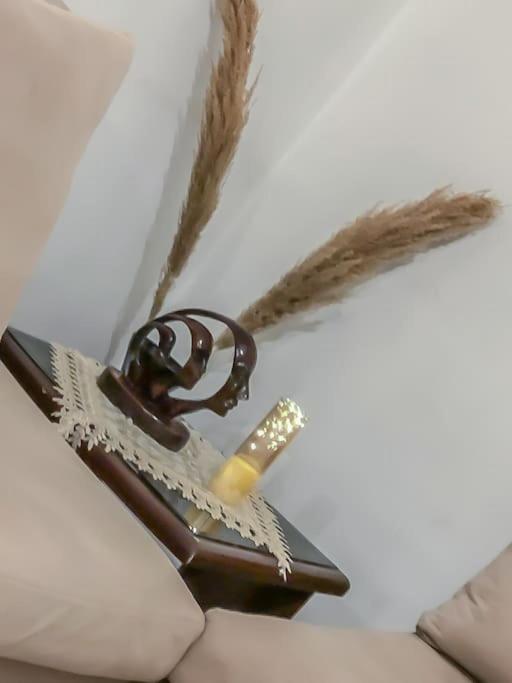 Luxury house, near to airport, AC, Wifi