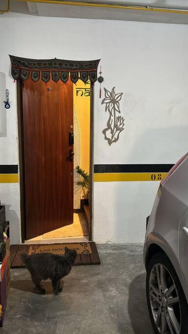Seu Lar fora de casa, em Curitiba
