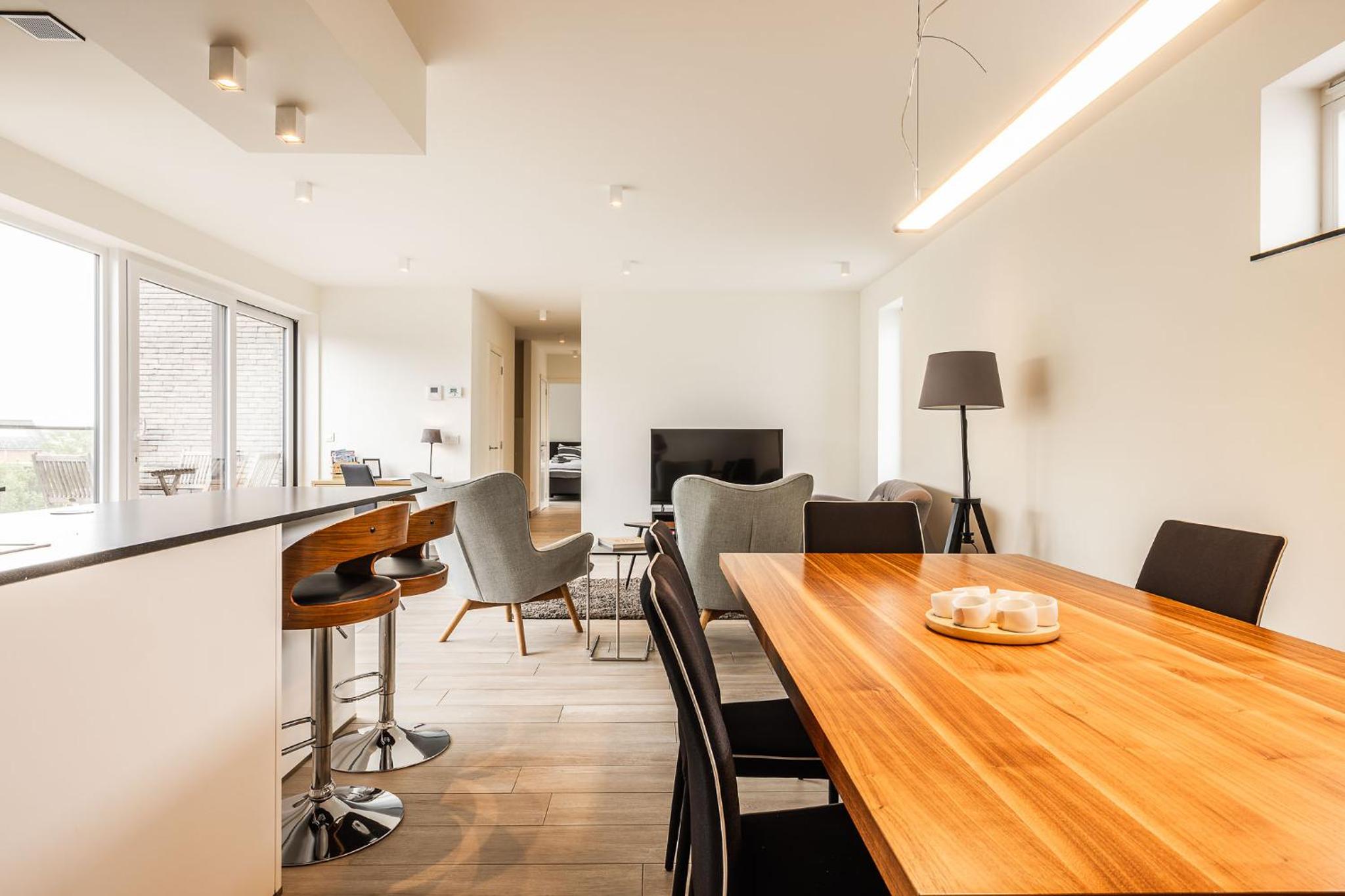 Red Rabbit Tourist and Business Flats with indoor parking - 1 to 5 or 6p - region gnt antwp brux, photo 35