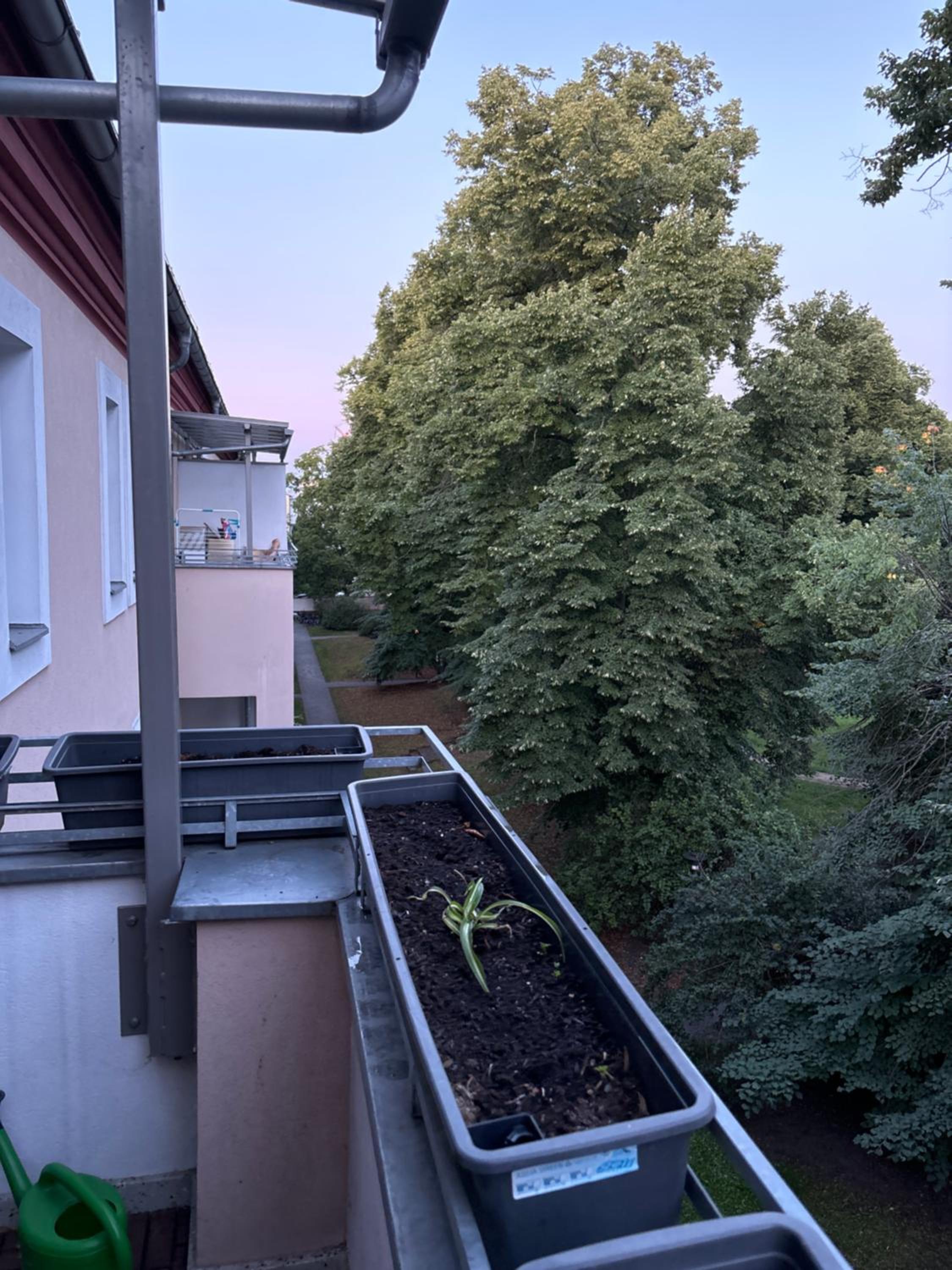 Furnished well equipped 2 room apartment in Wedding