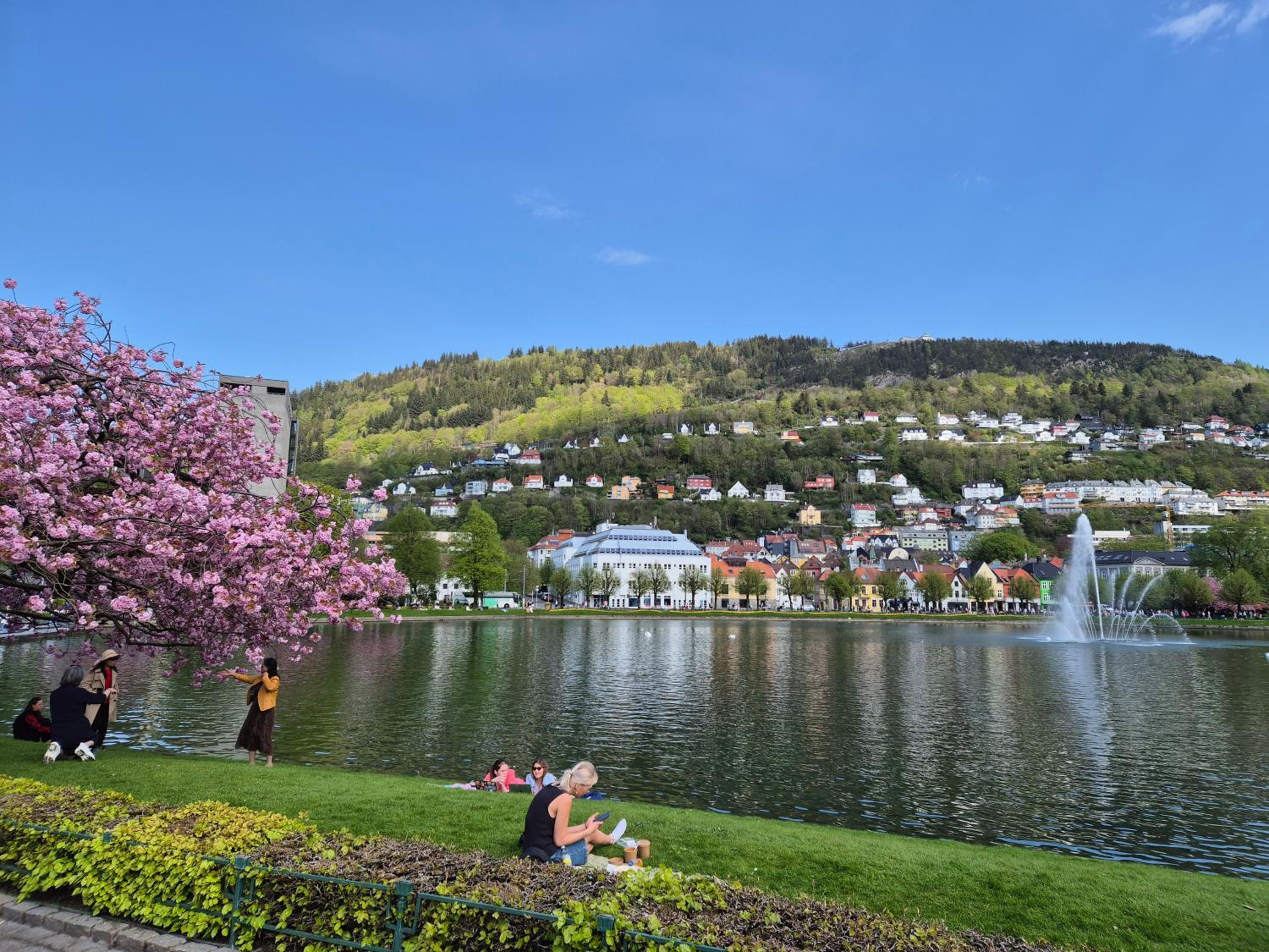 Nydelig hus med privat hage og fantastisk utsikt over Fisketorget, Bryggen og Bergen sentrum