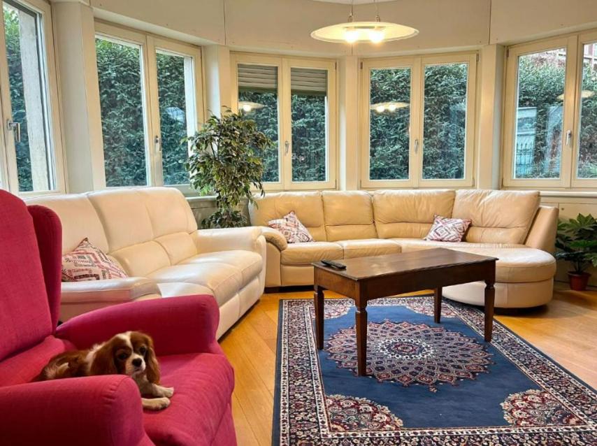 Bergamoinhouse airport photo 4