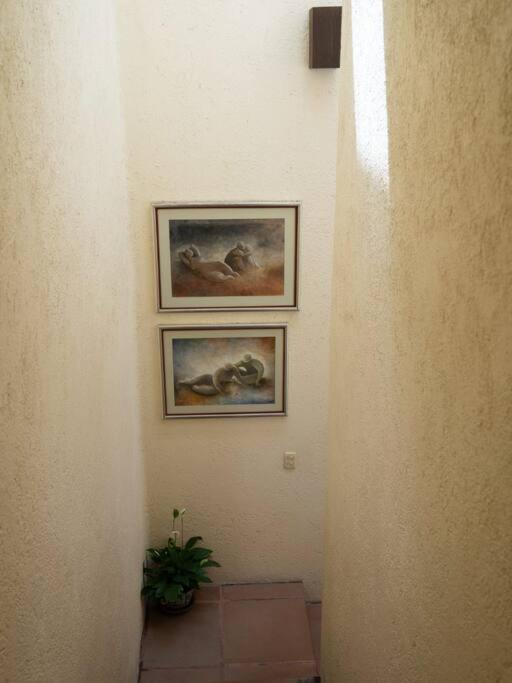 El Zapote House With orchard and pool in Malinalco view 3
