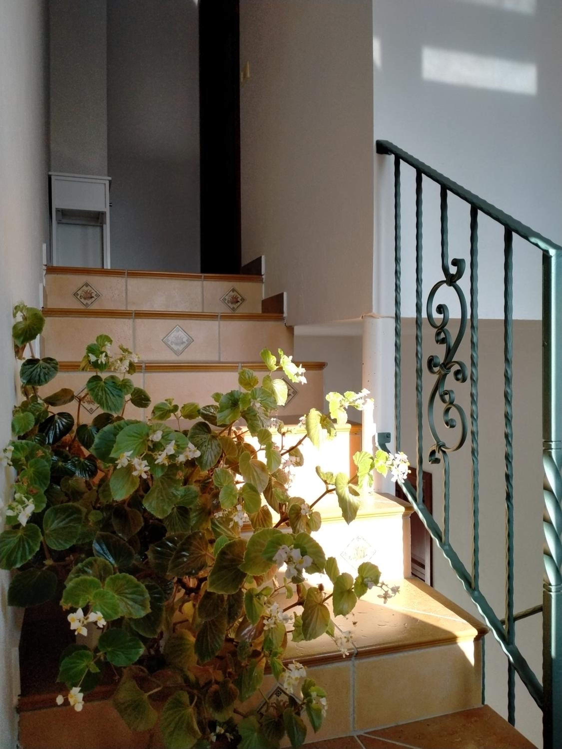 La casa di nonna Bonaria view 2