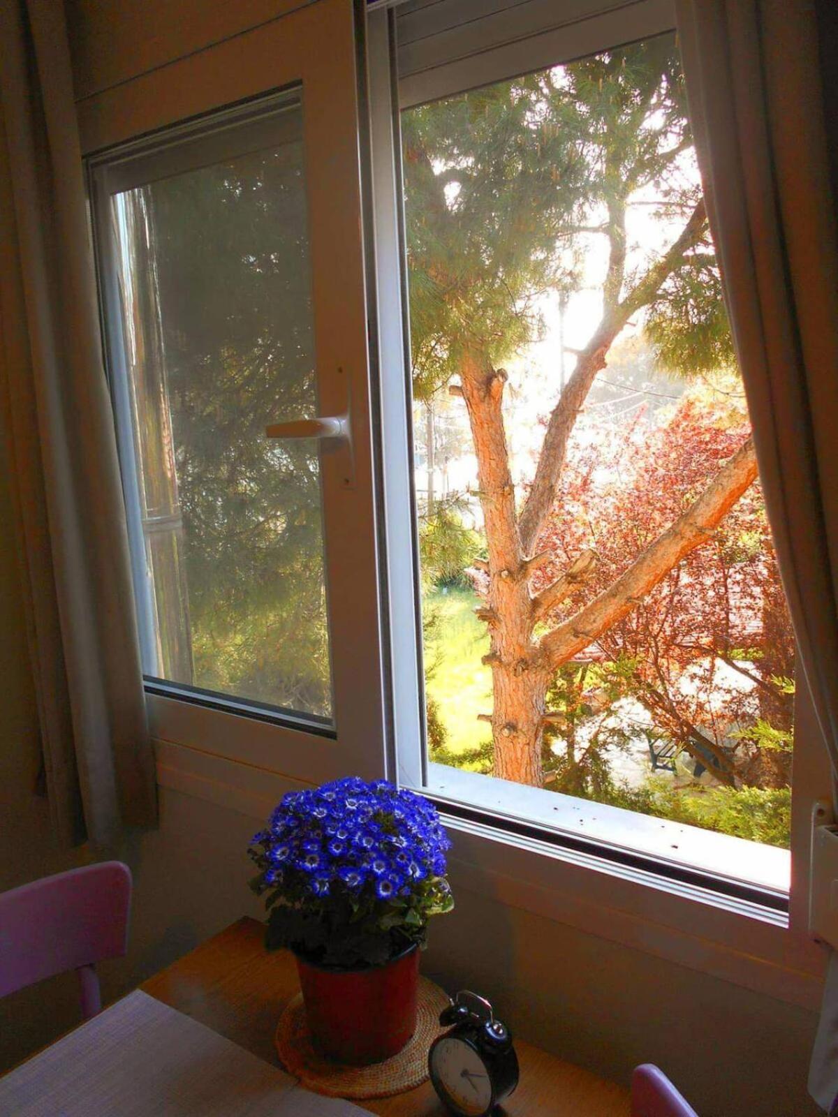 Balcony at the beach photo 3