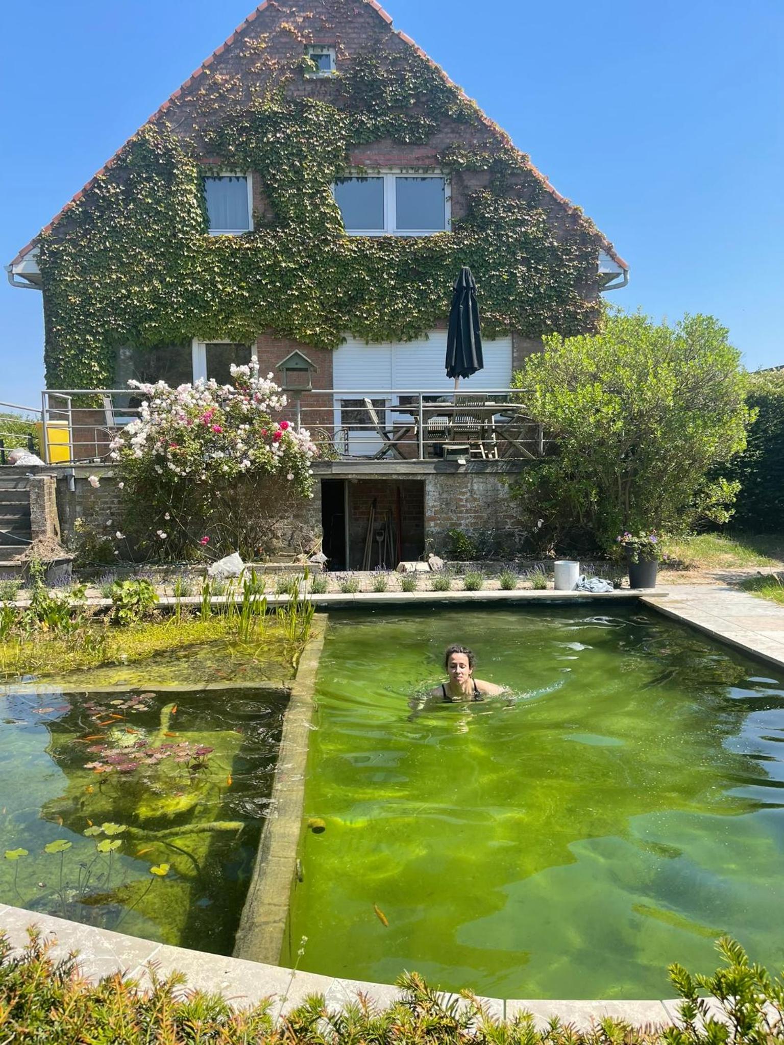 Villa in front of the sea with natural swimming pond